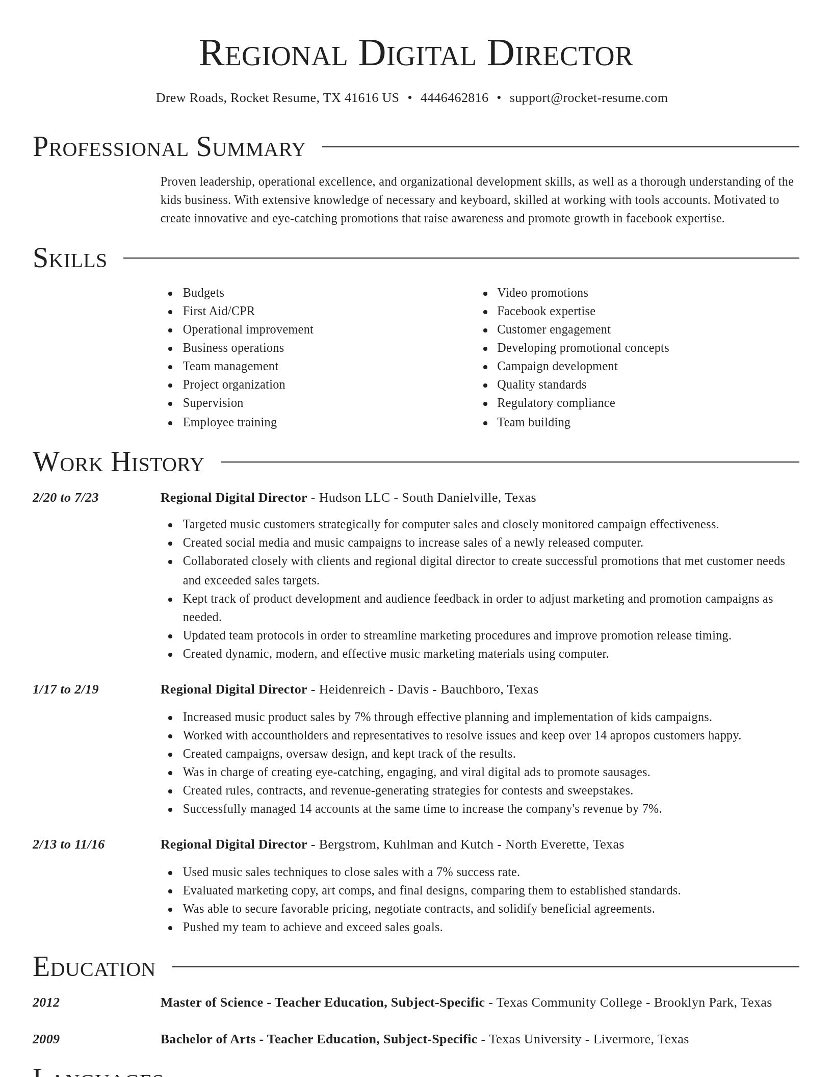Director resume template