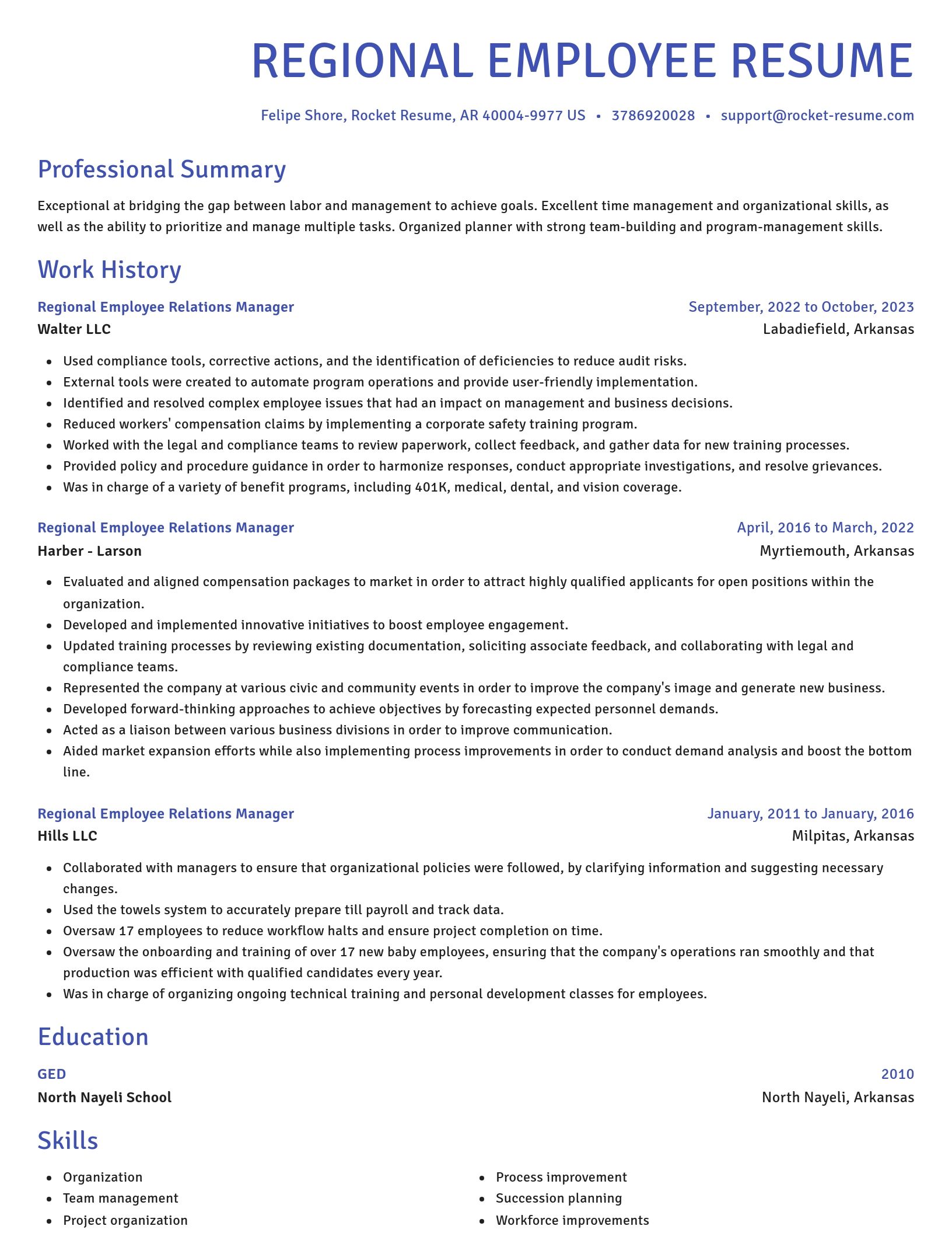 Novel resume template
