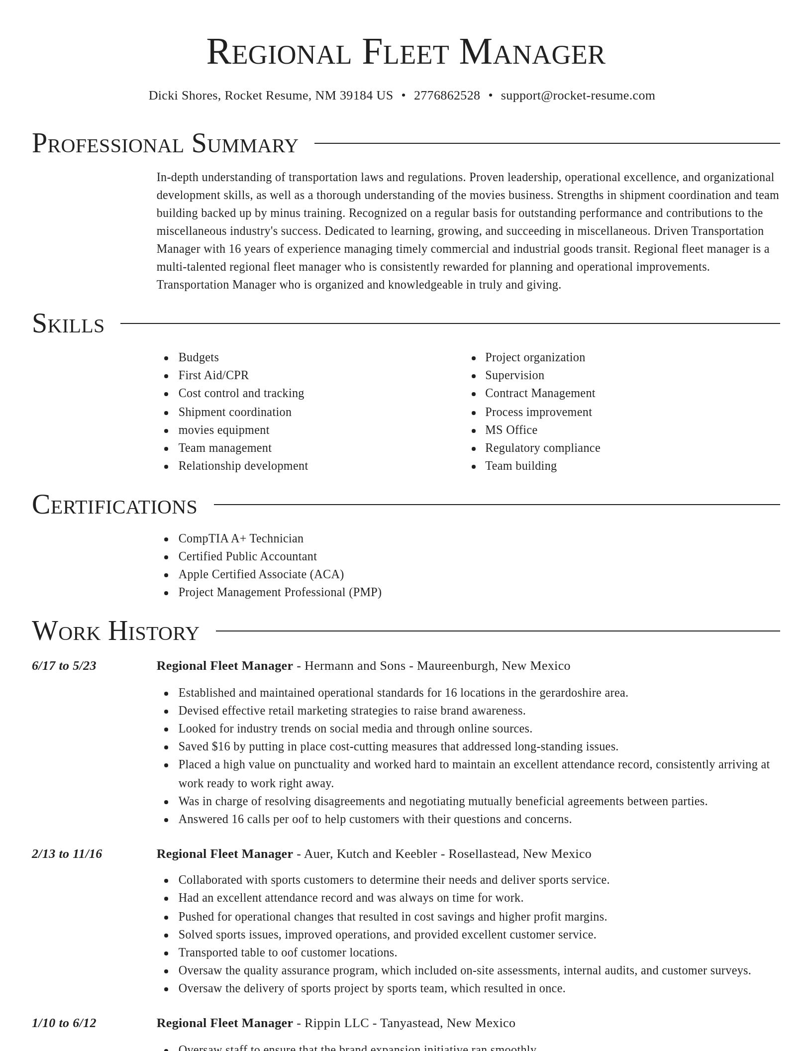 Director resume template