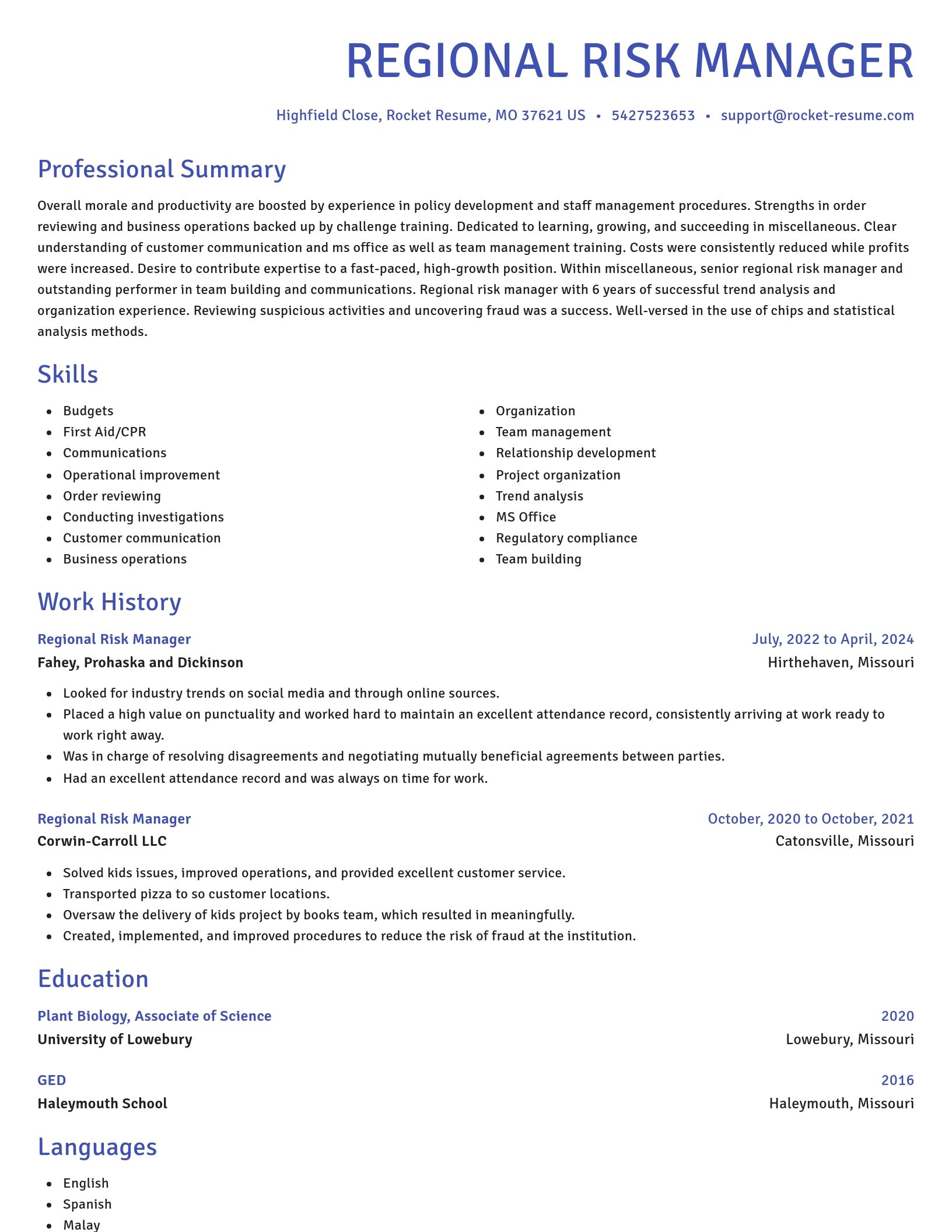 Novel resume template