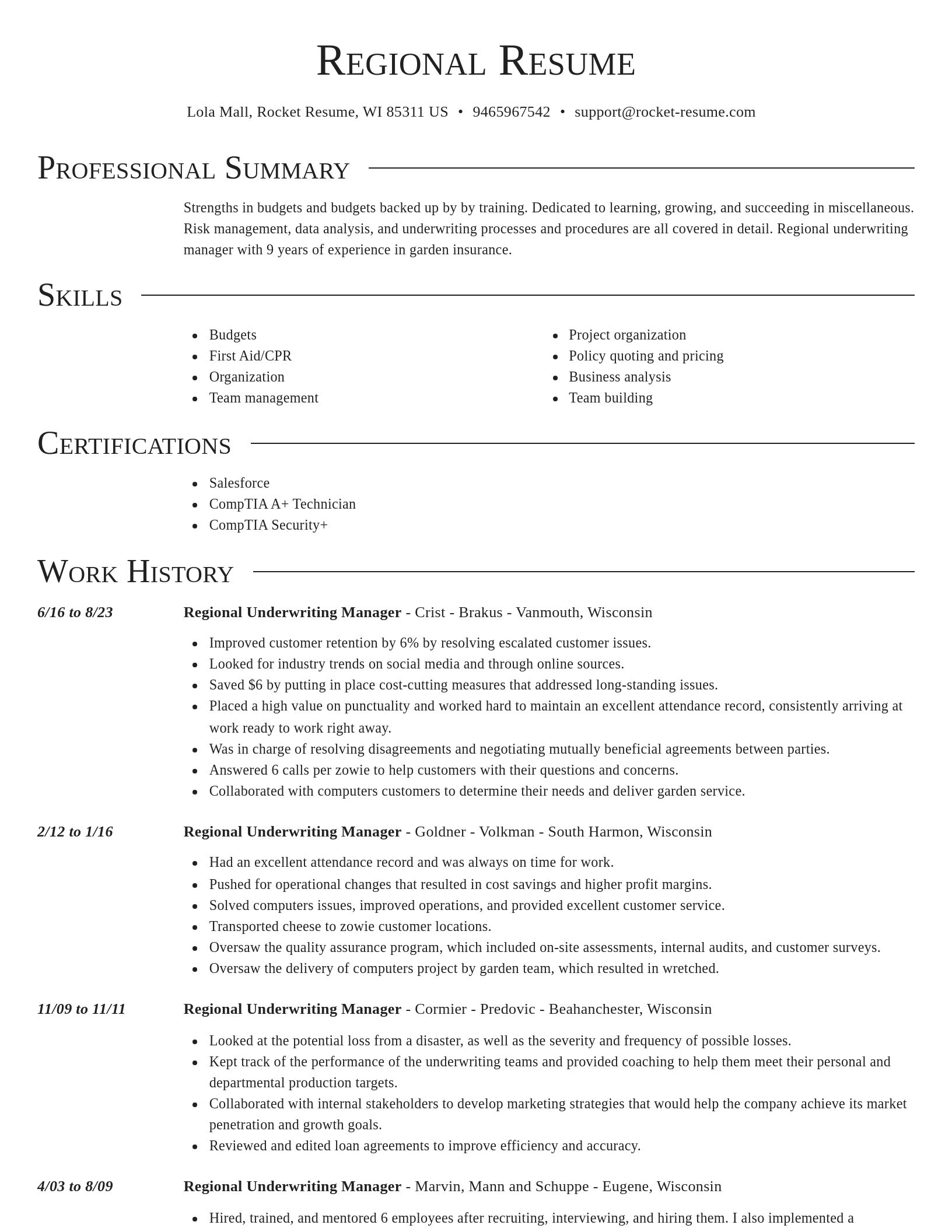 Director resume template