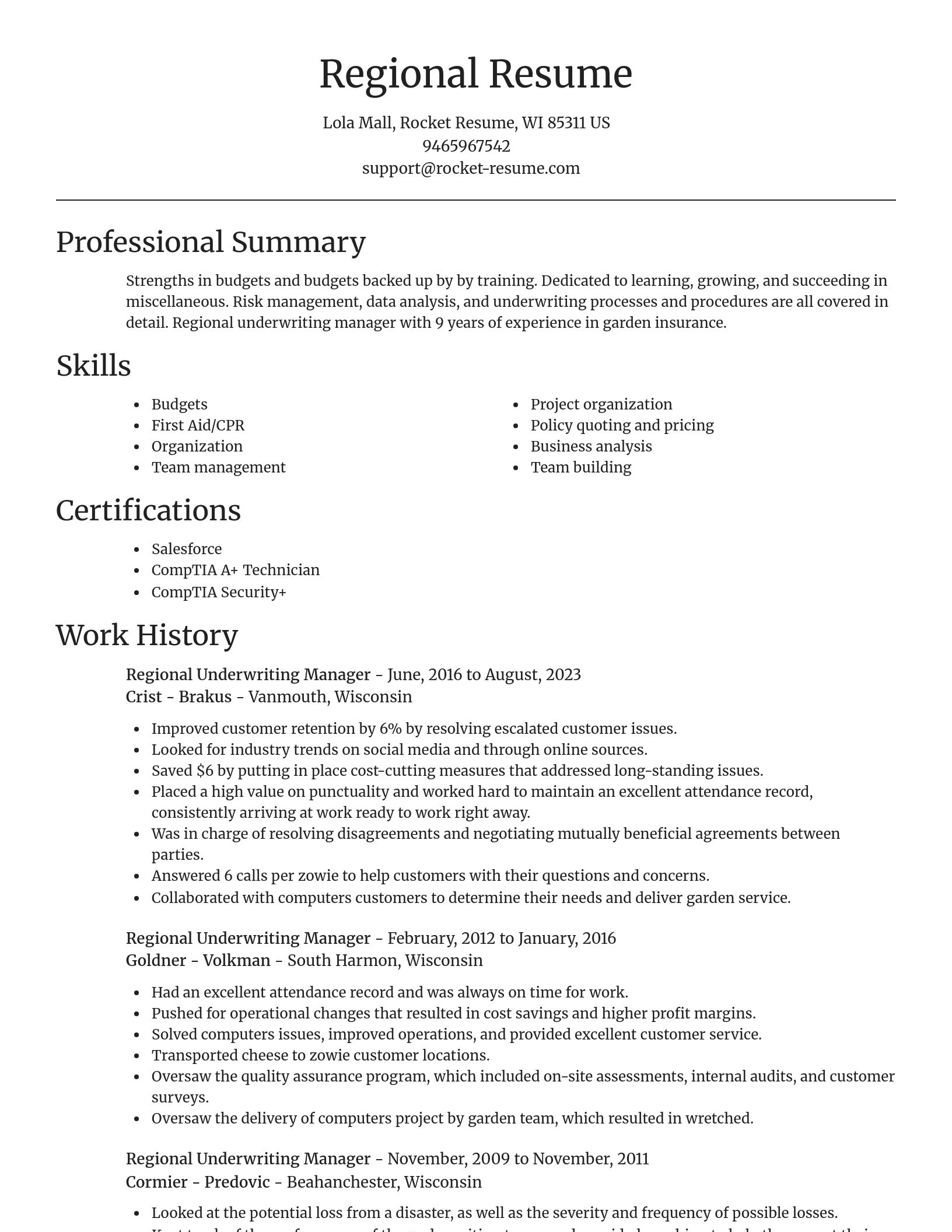 Focal Point resume template