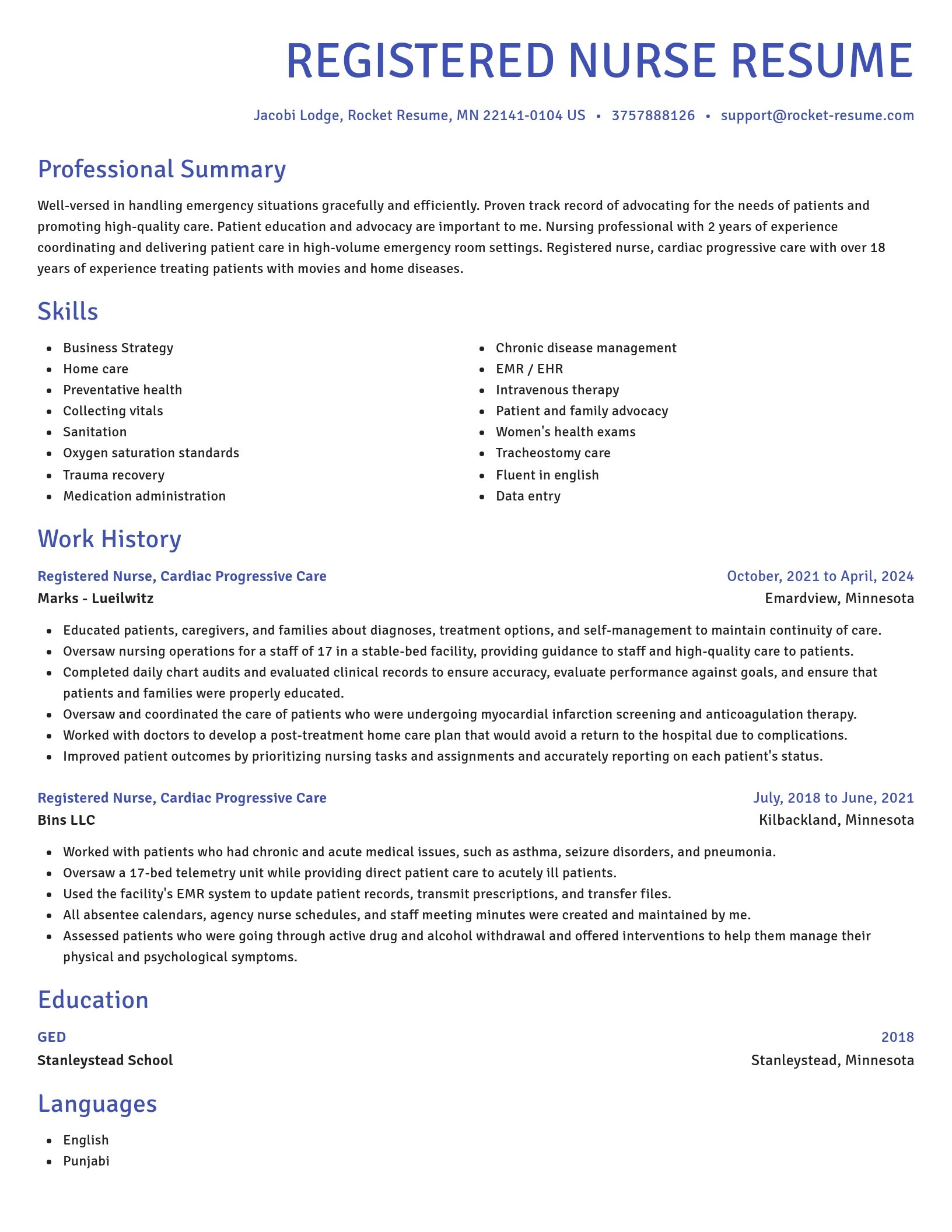 Novel resume template
