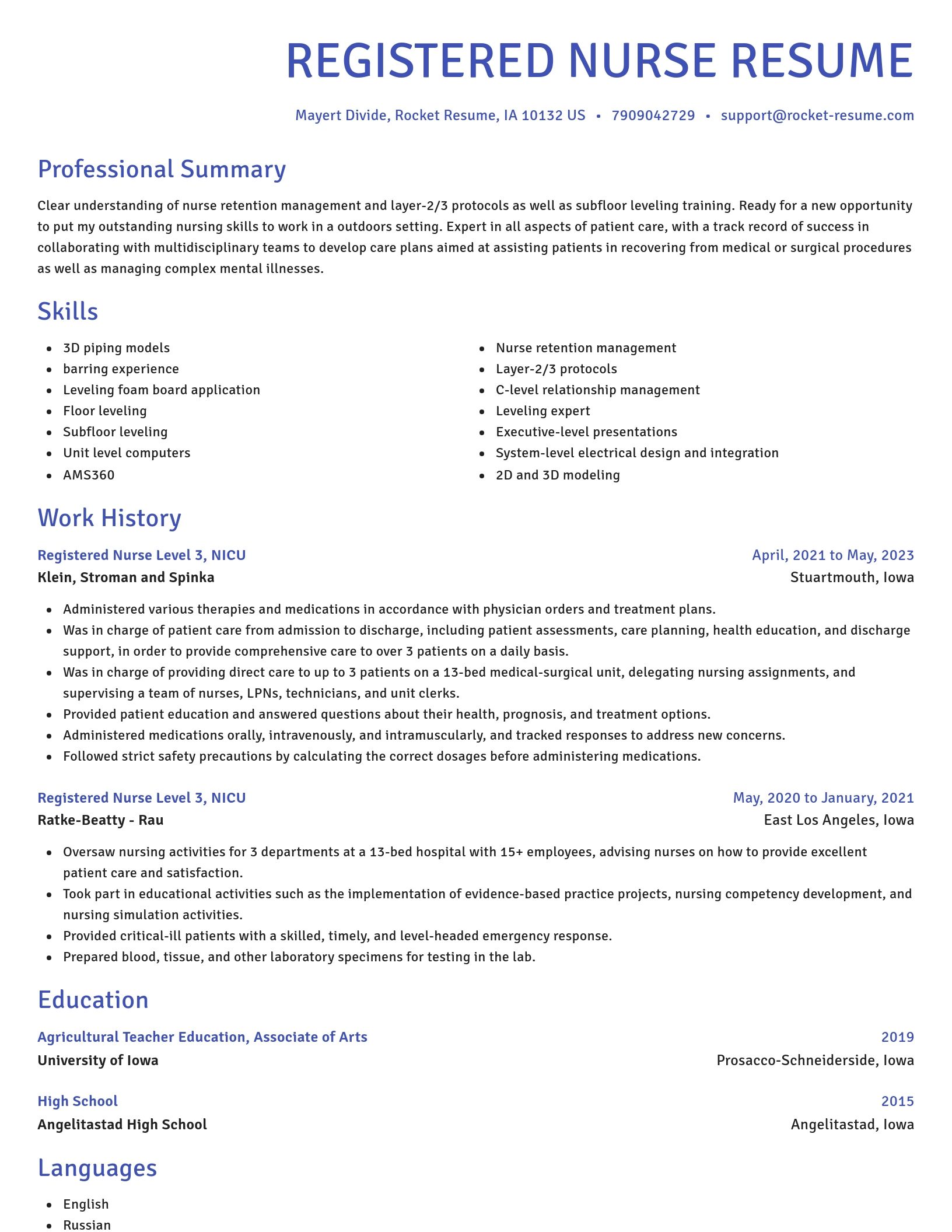 Novel resume template