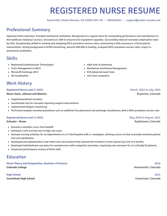 Novel resume template