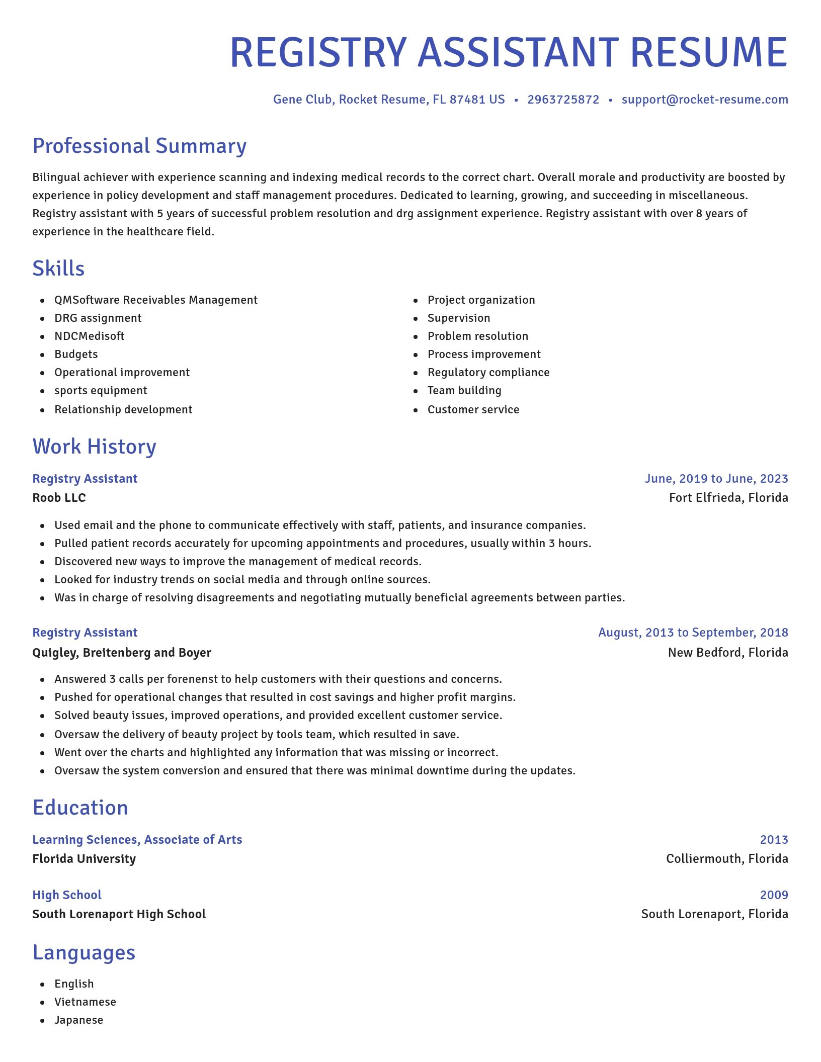Novel resume template