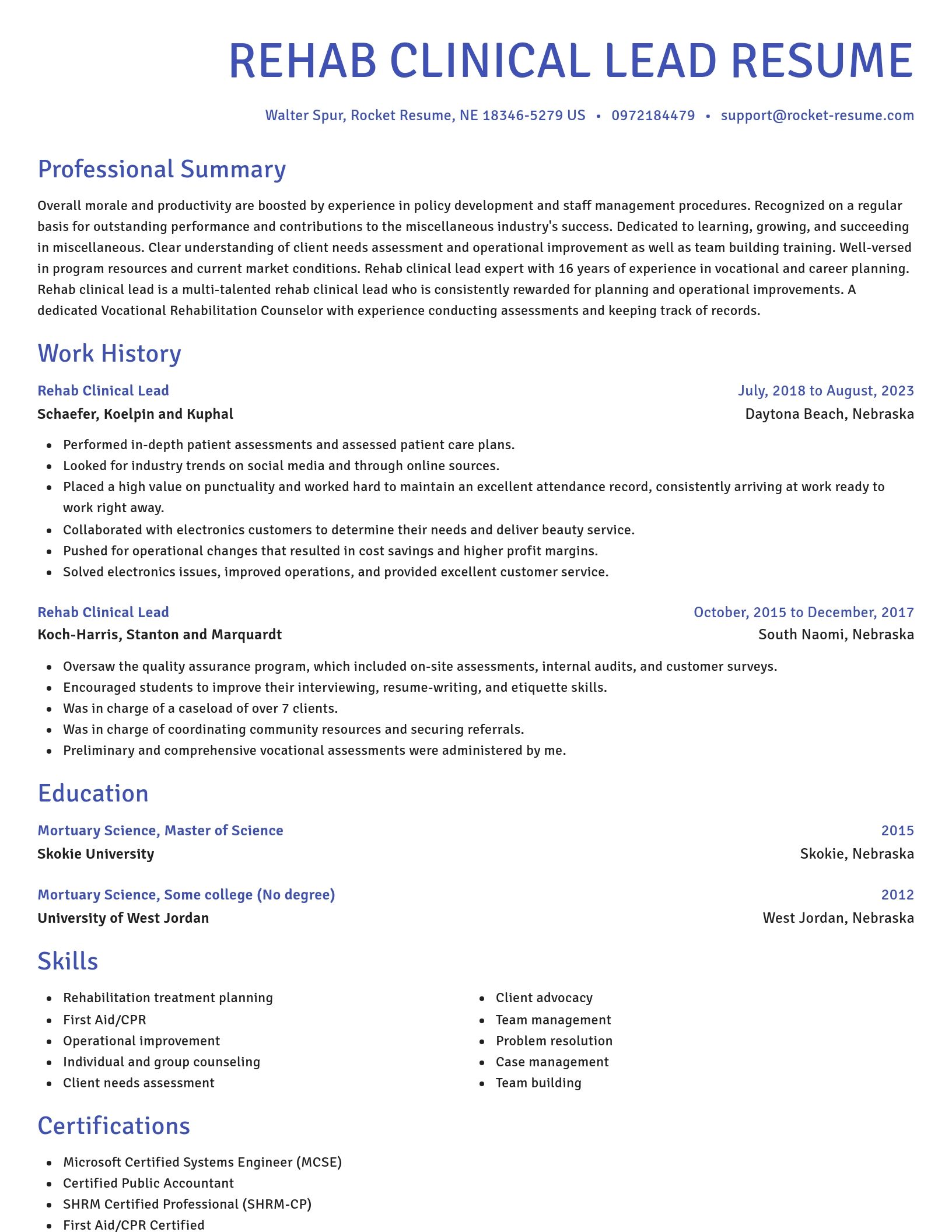 Novel resume template