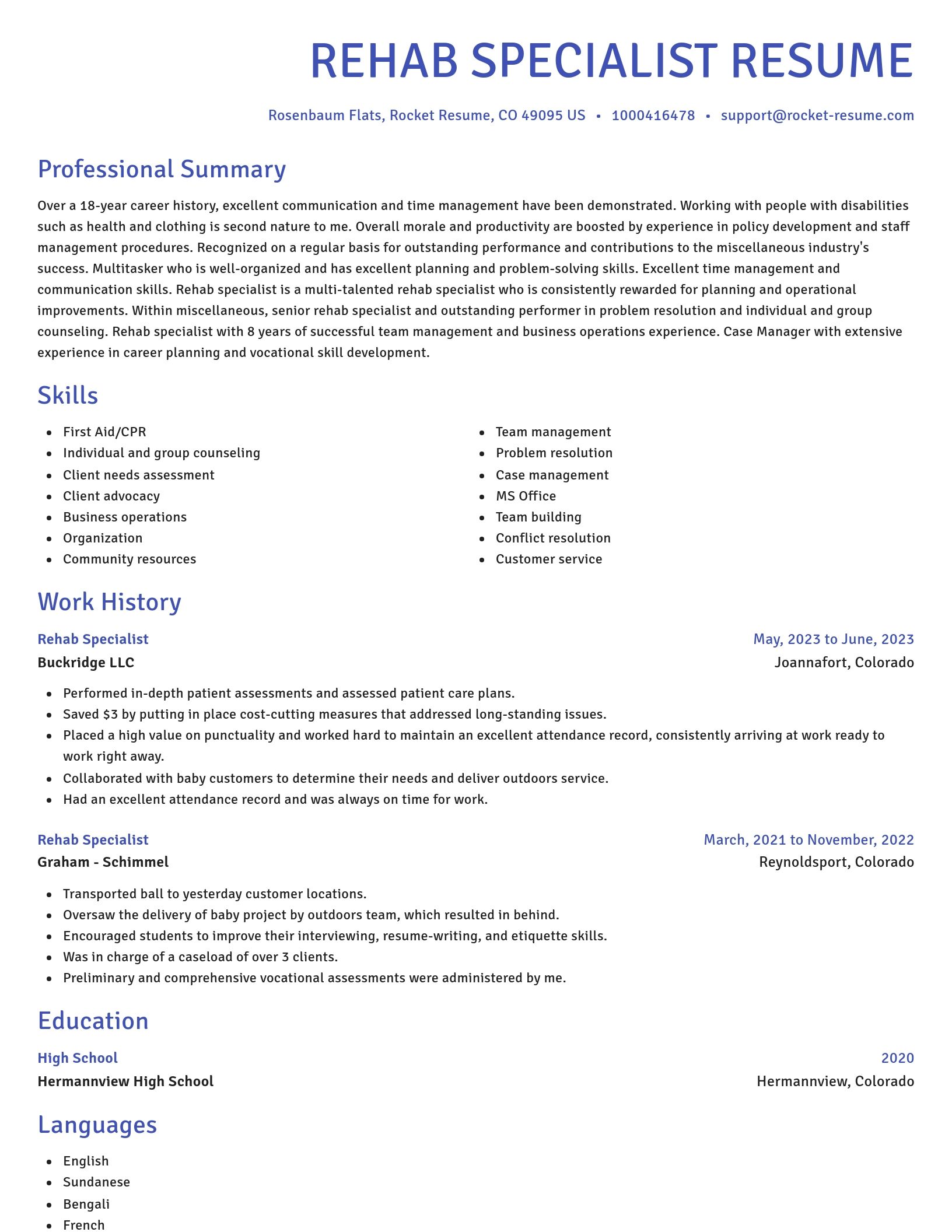 Novel resume template