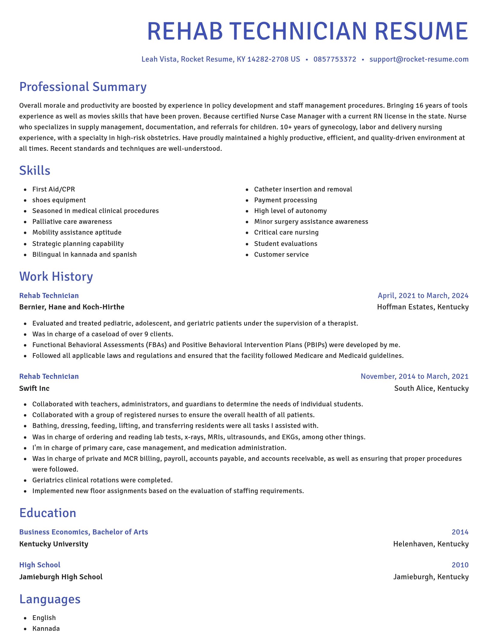 Novel resume template