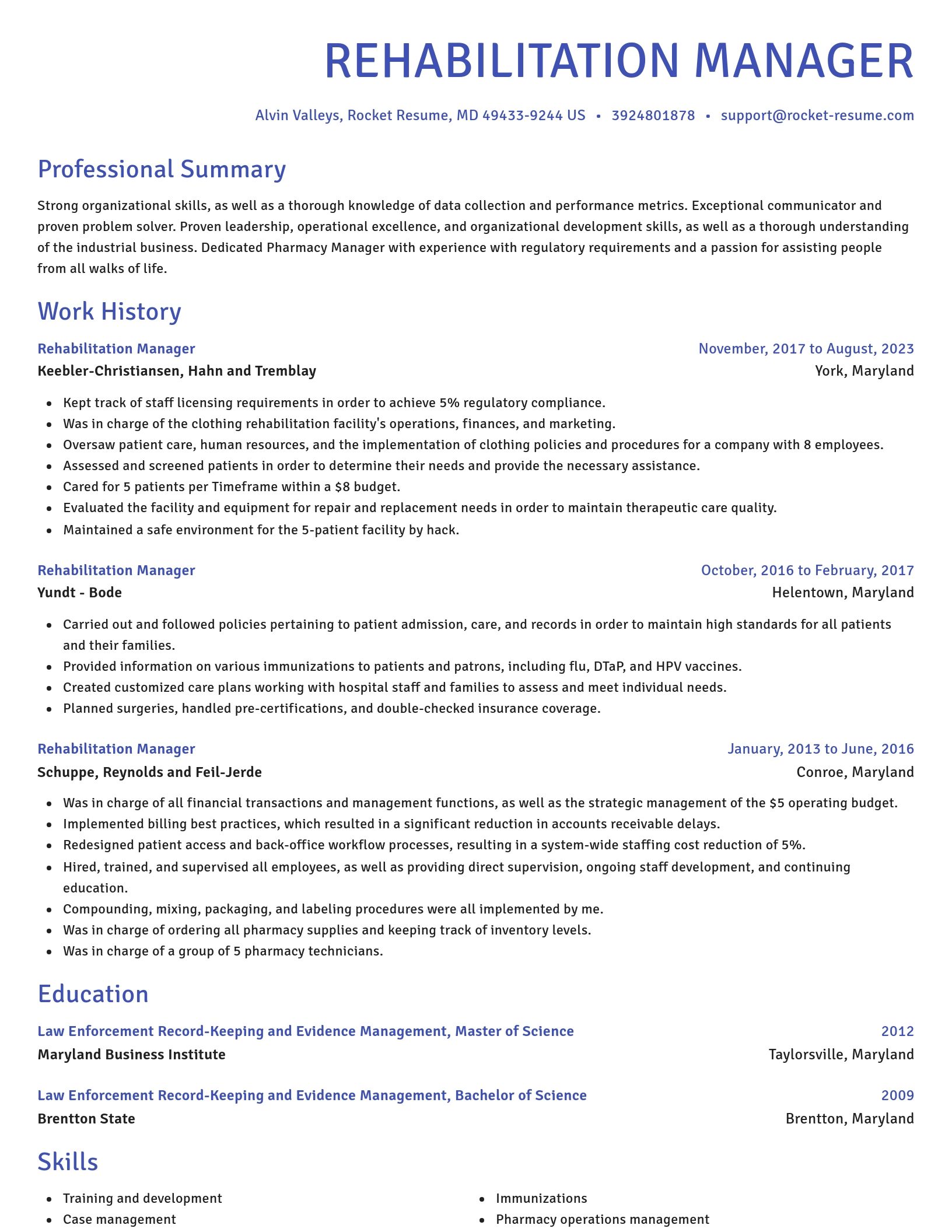 Novel resume template