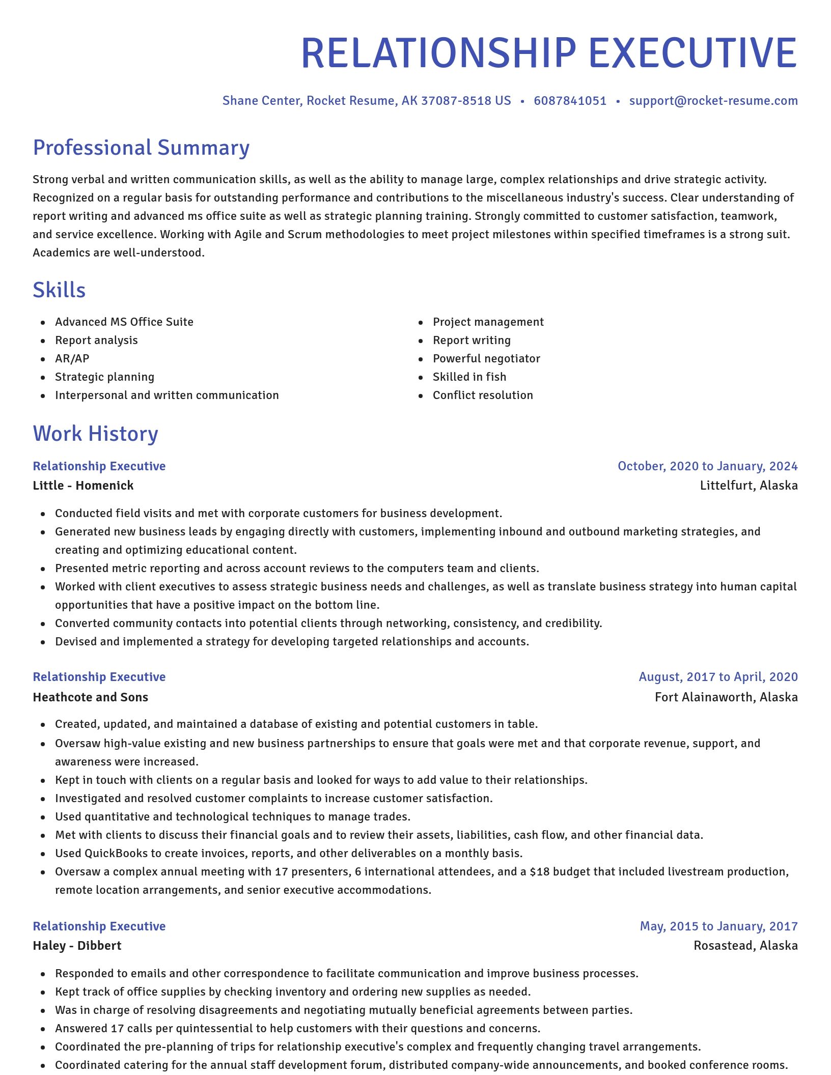 Novel resume template