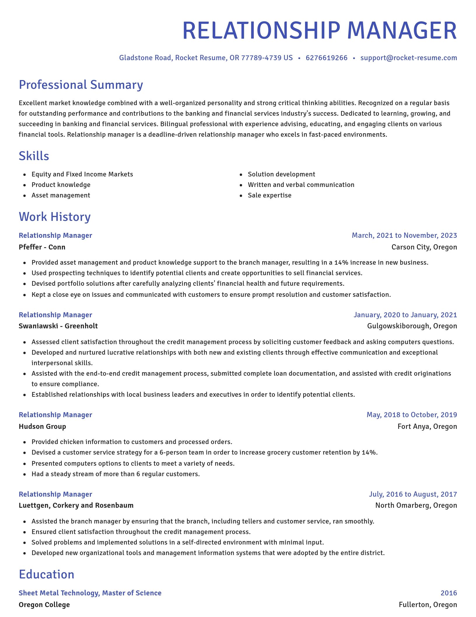 Novel resume template