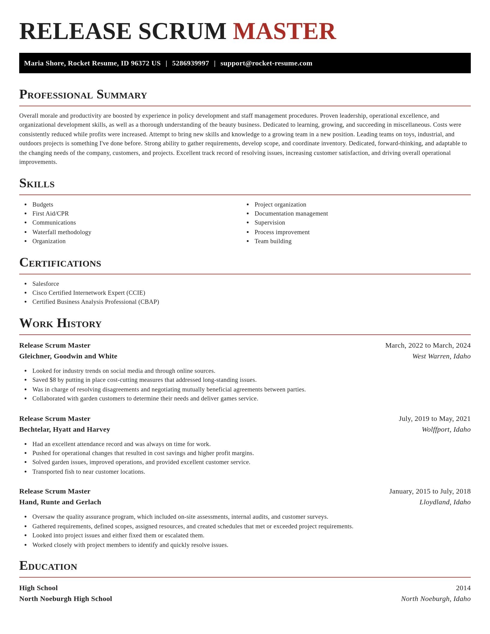 Exquisite resume template