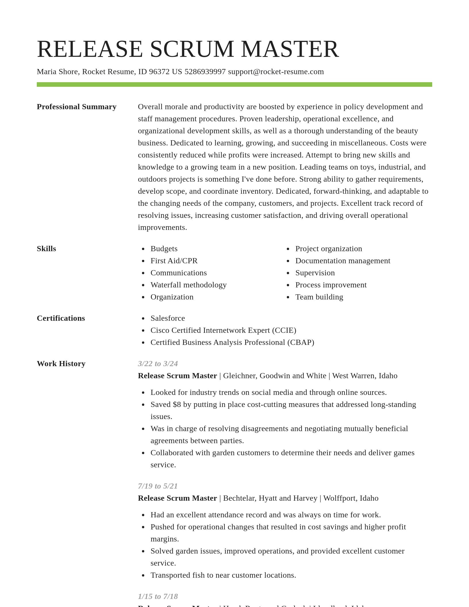 Smart resume template
