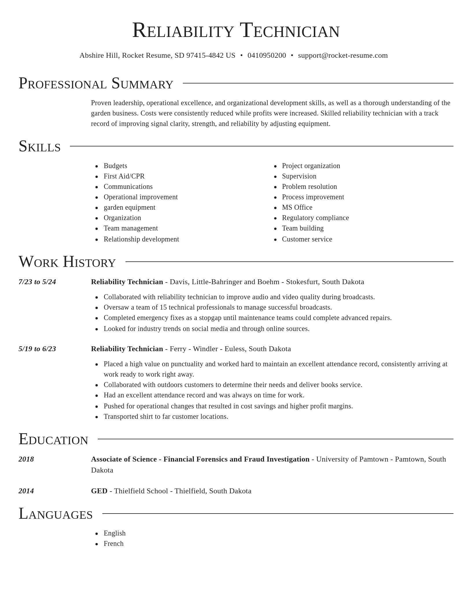Director resume template