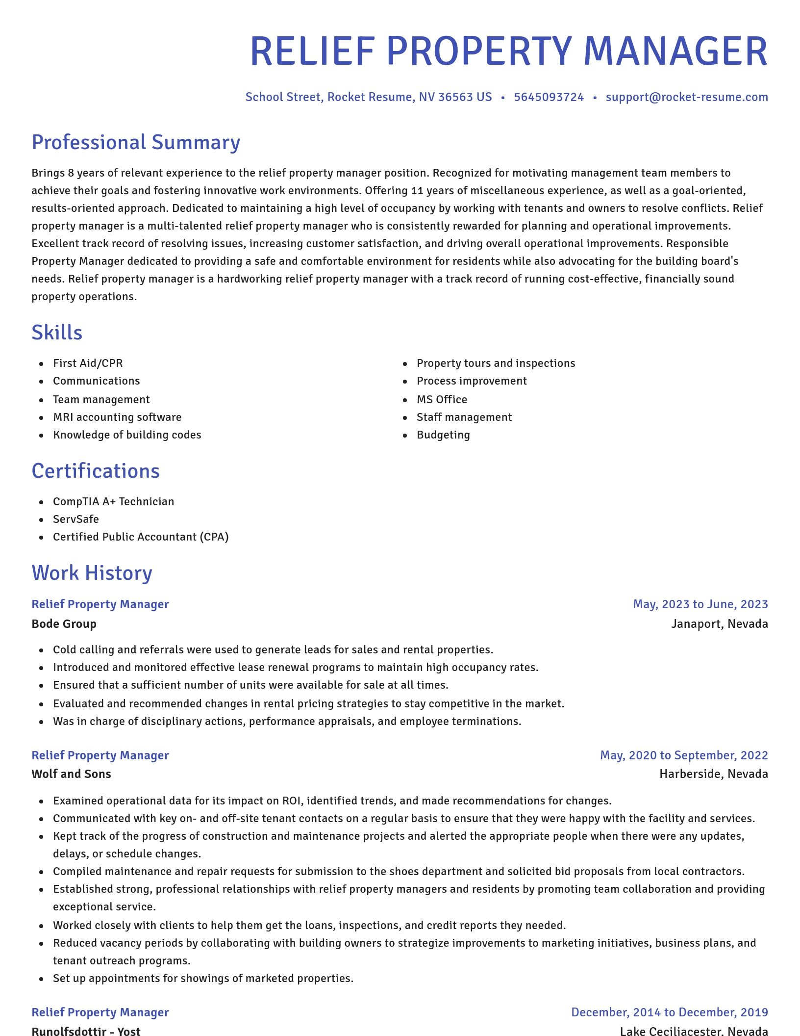 Novel resume template