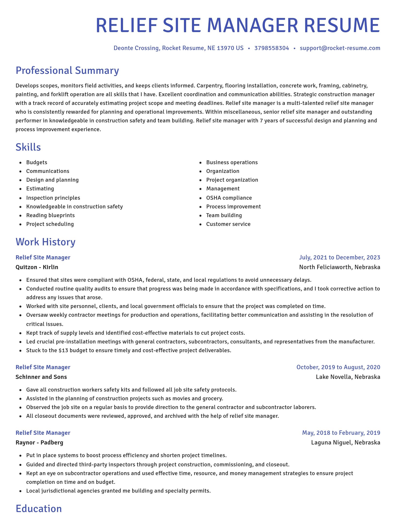 Novel resume template