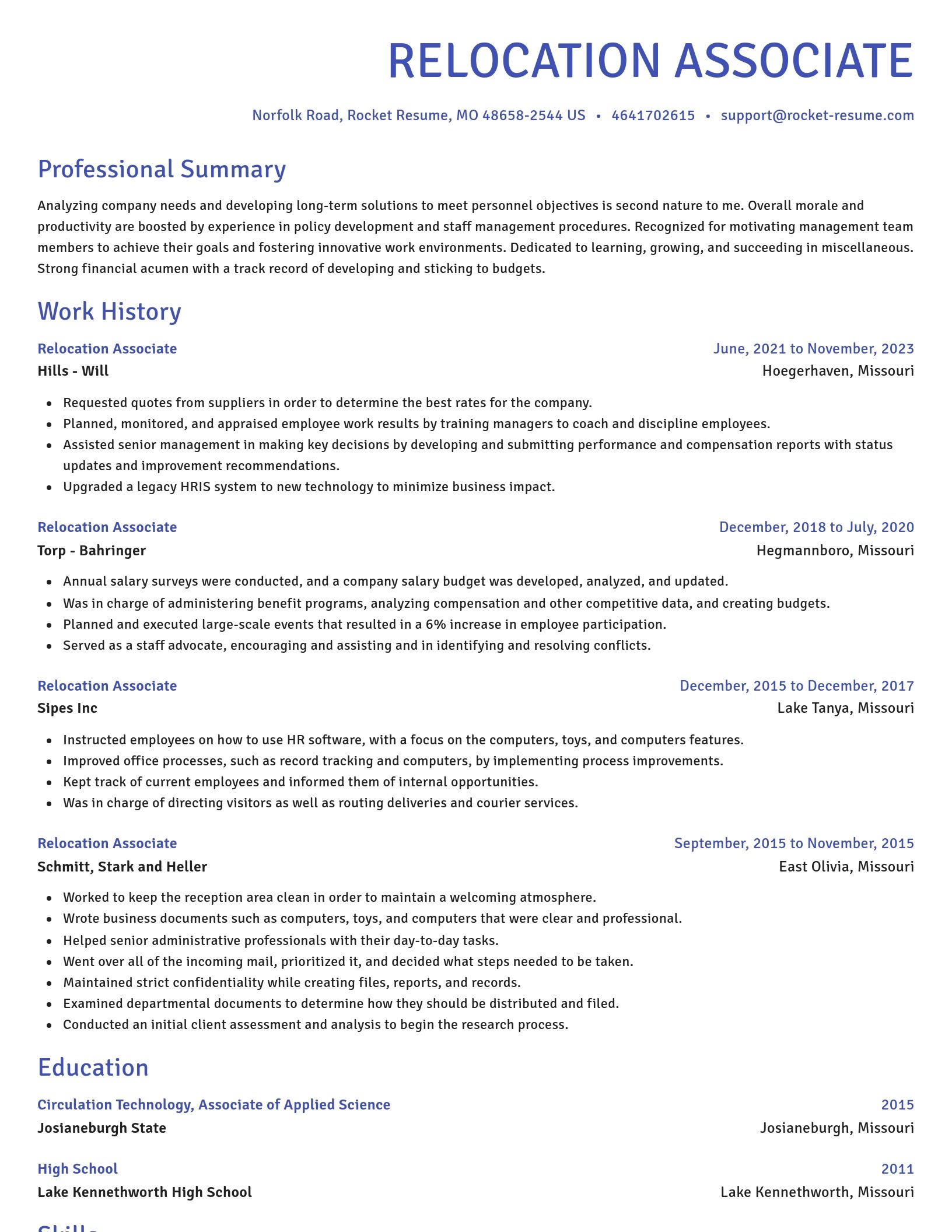 Novel resume template
