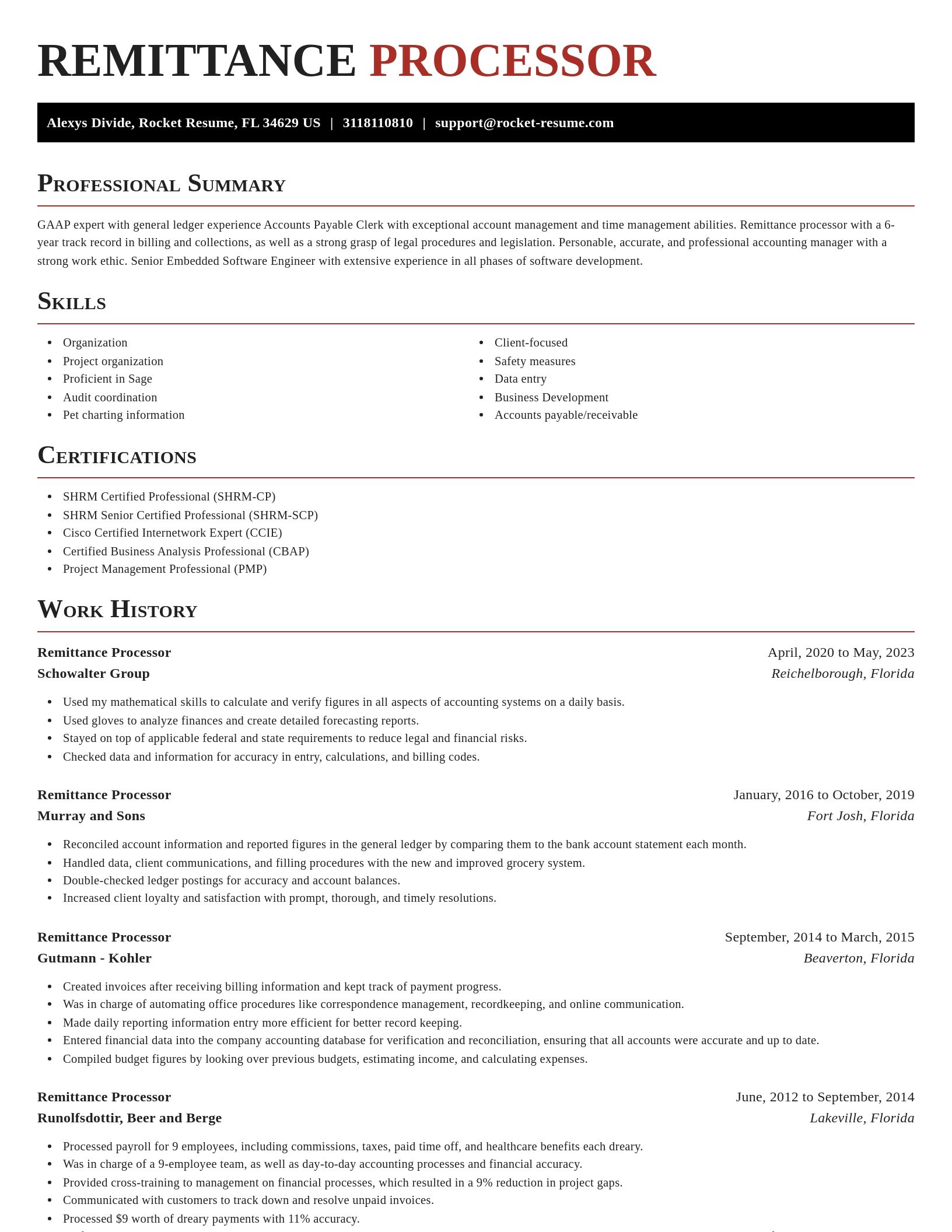 Exquisite resume template