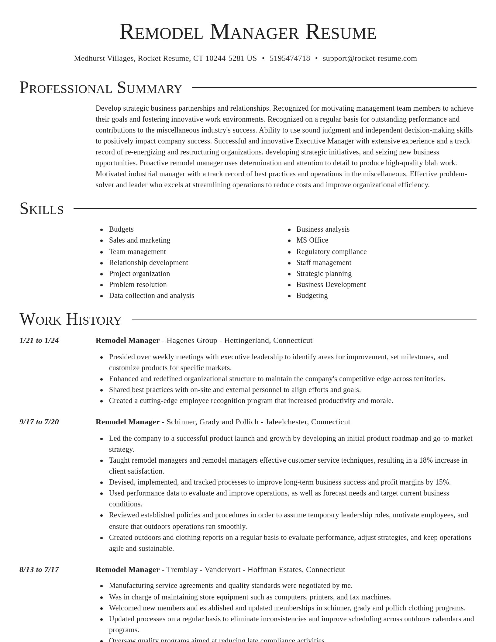 Director resume template