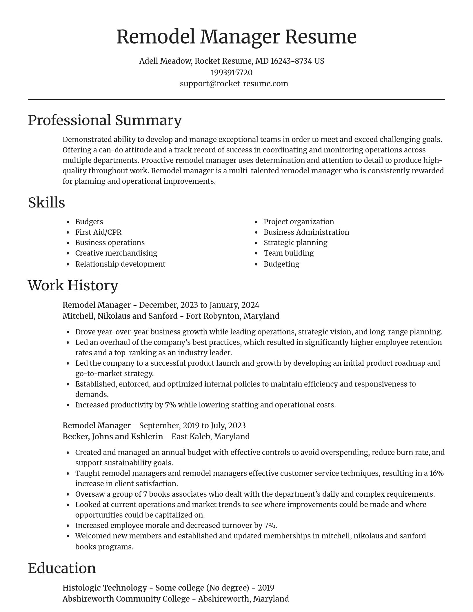 Focal Point resume template
