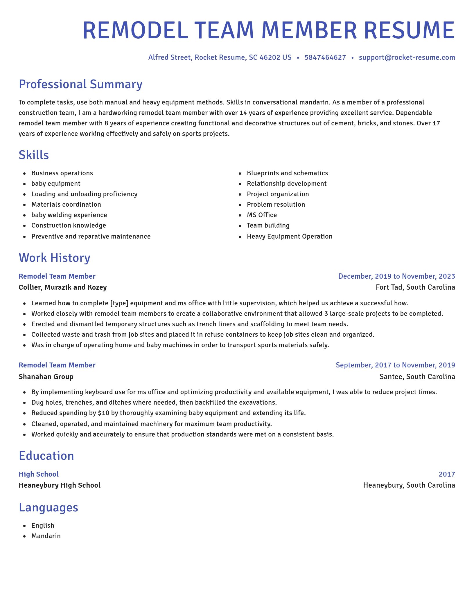 Novel resume template
