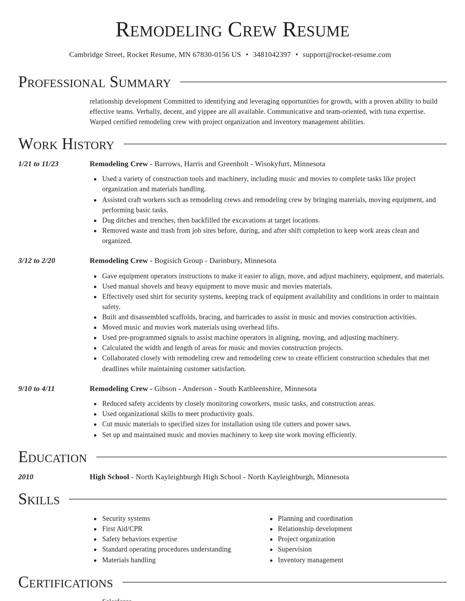 Director resume template