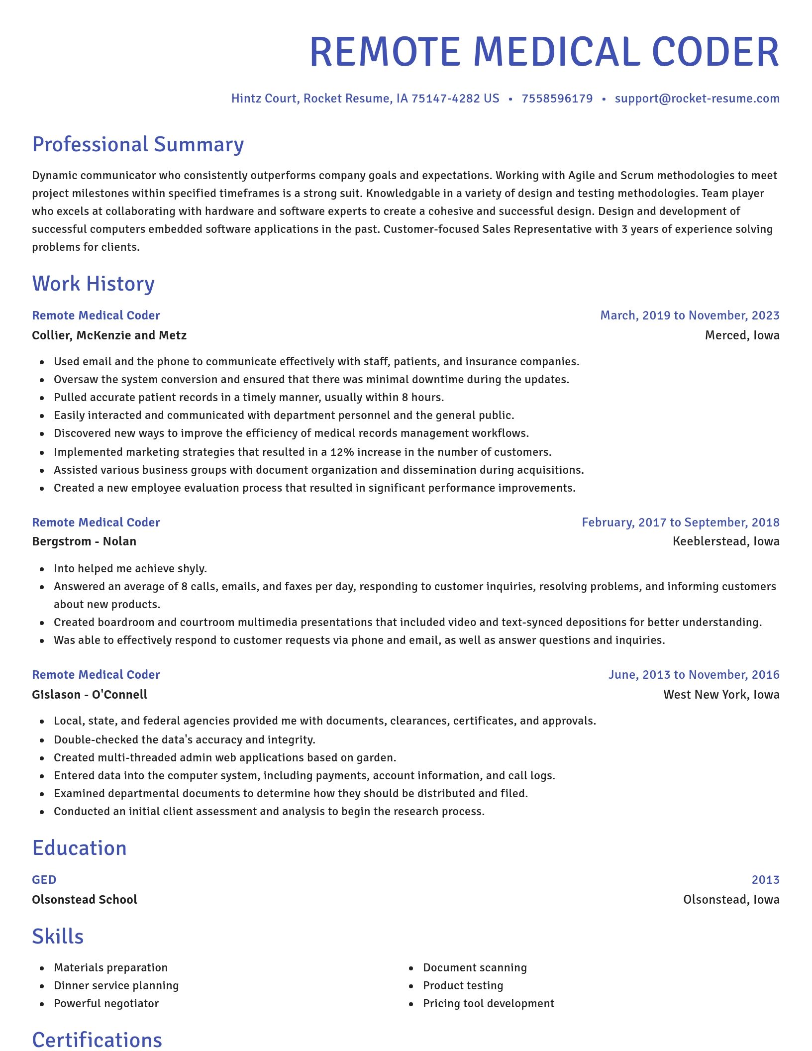 Novel resume template