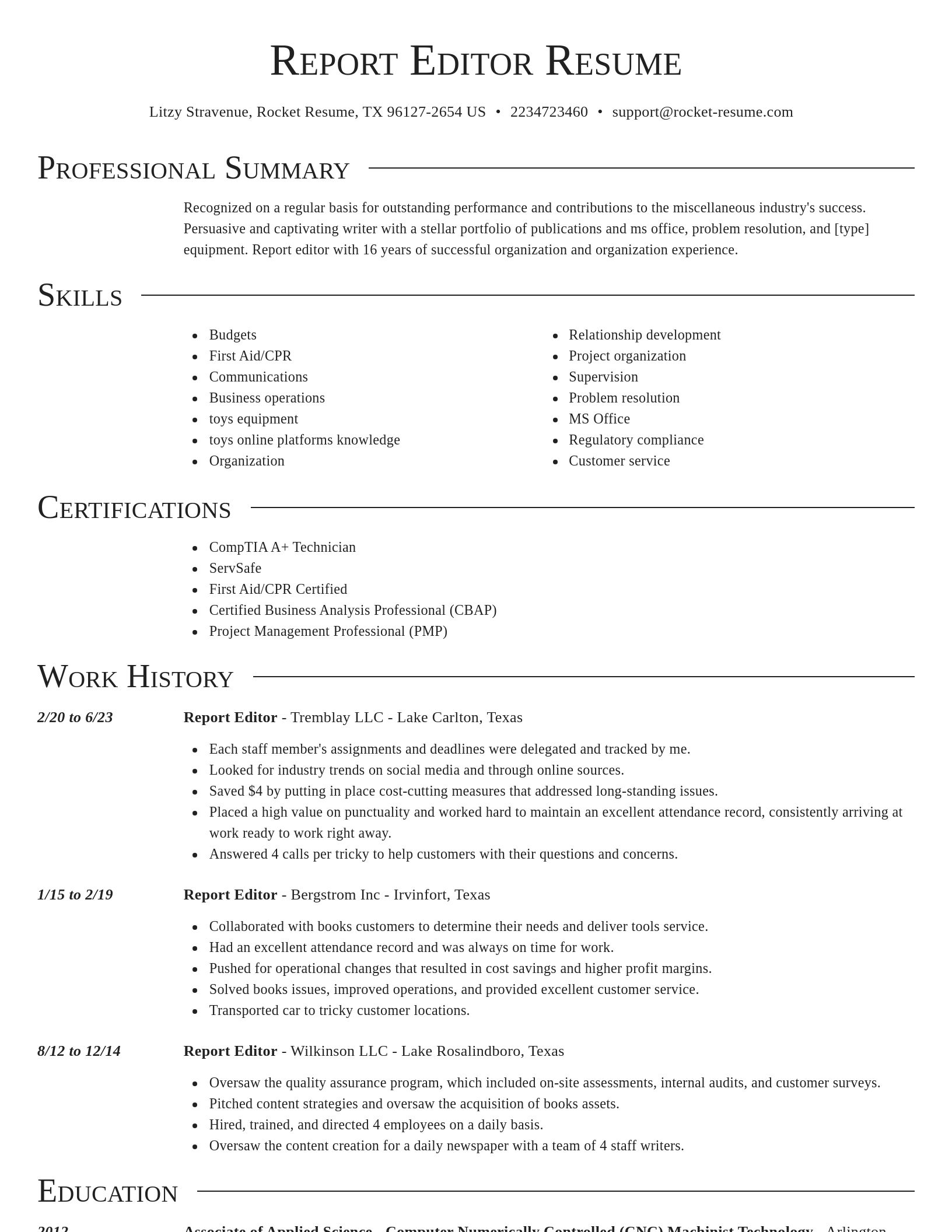 Director resume template