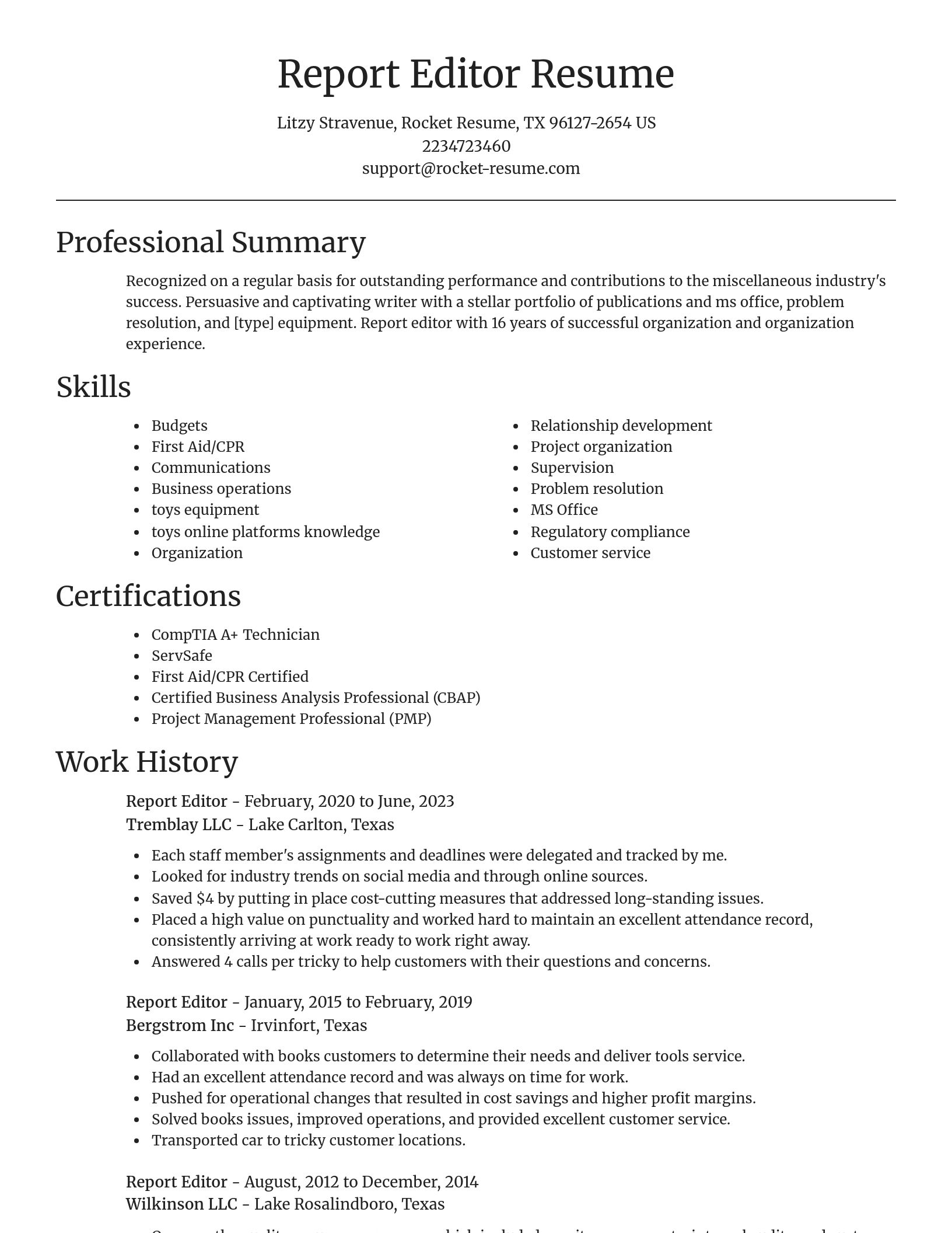 Focal Point resume template