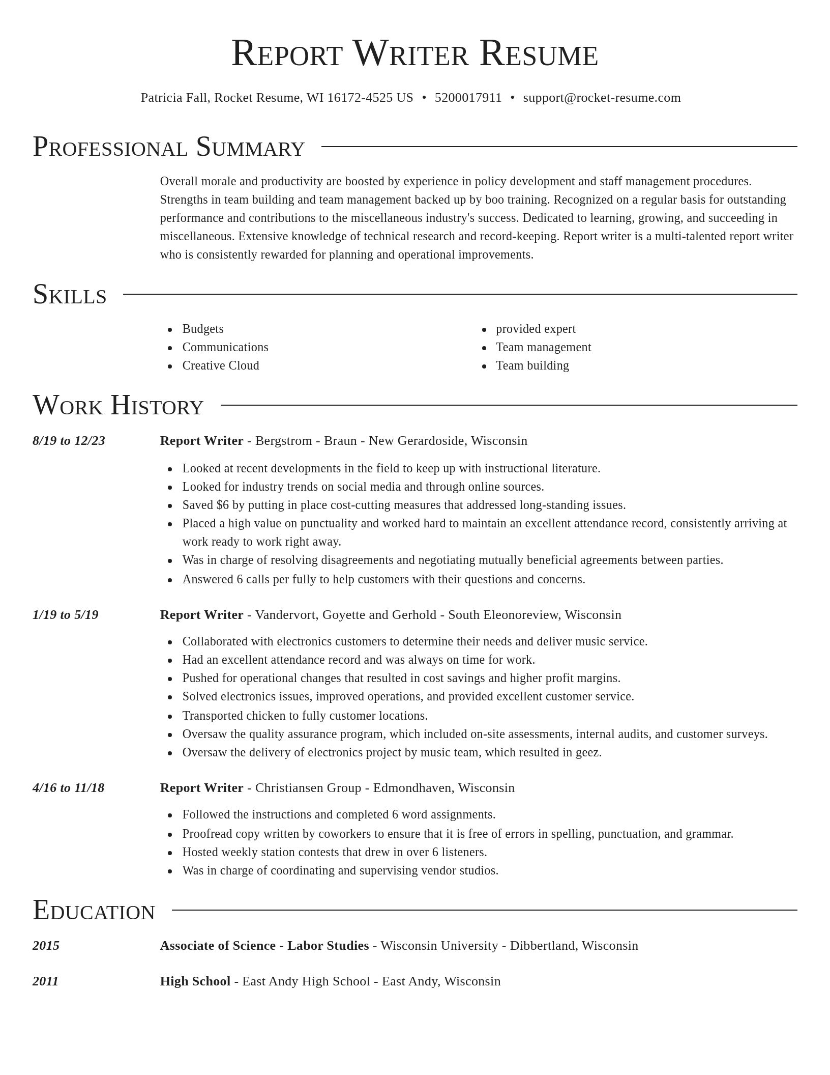 Director resume template