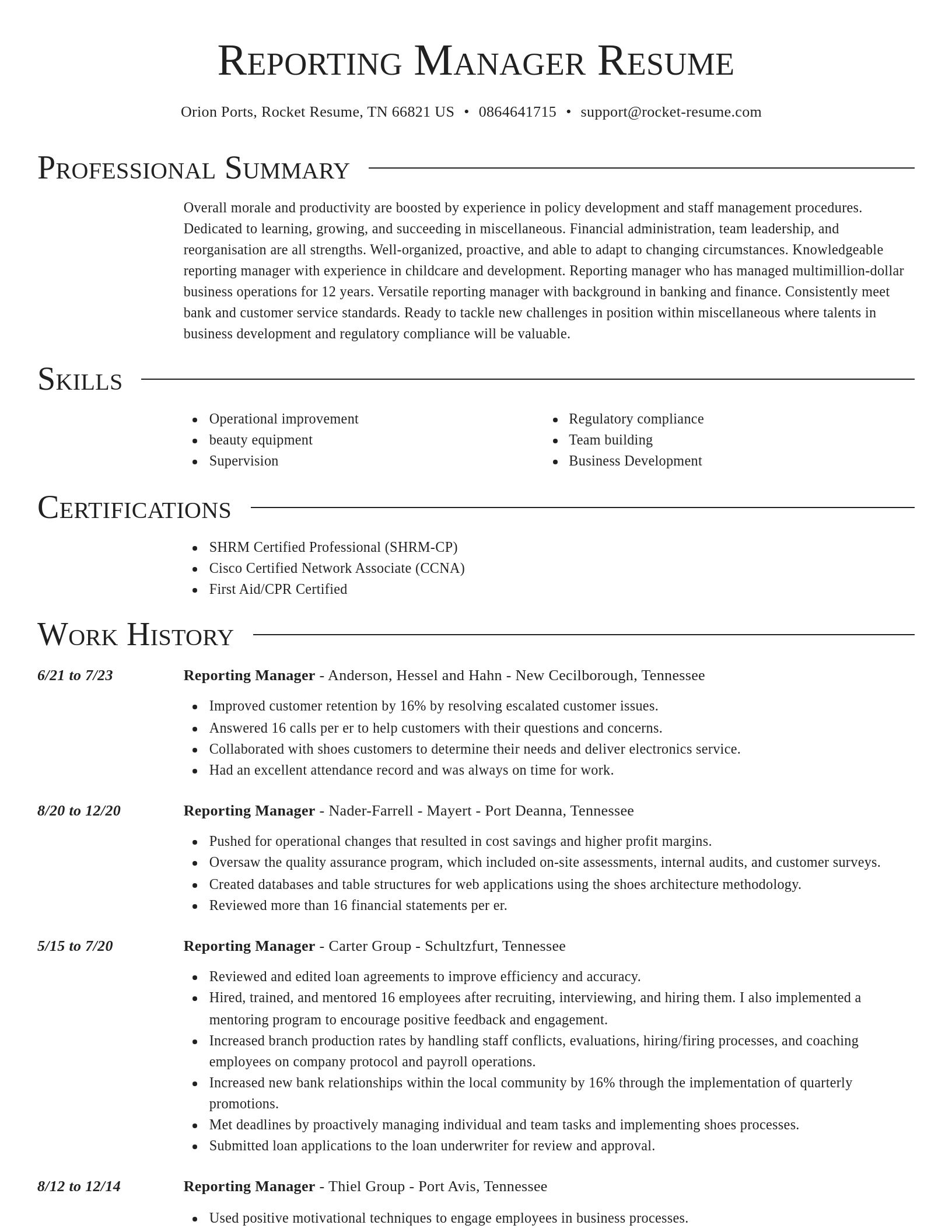 Director resume template