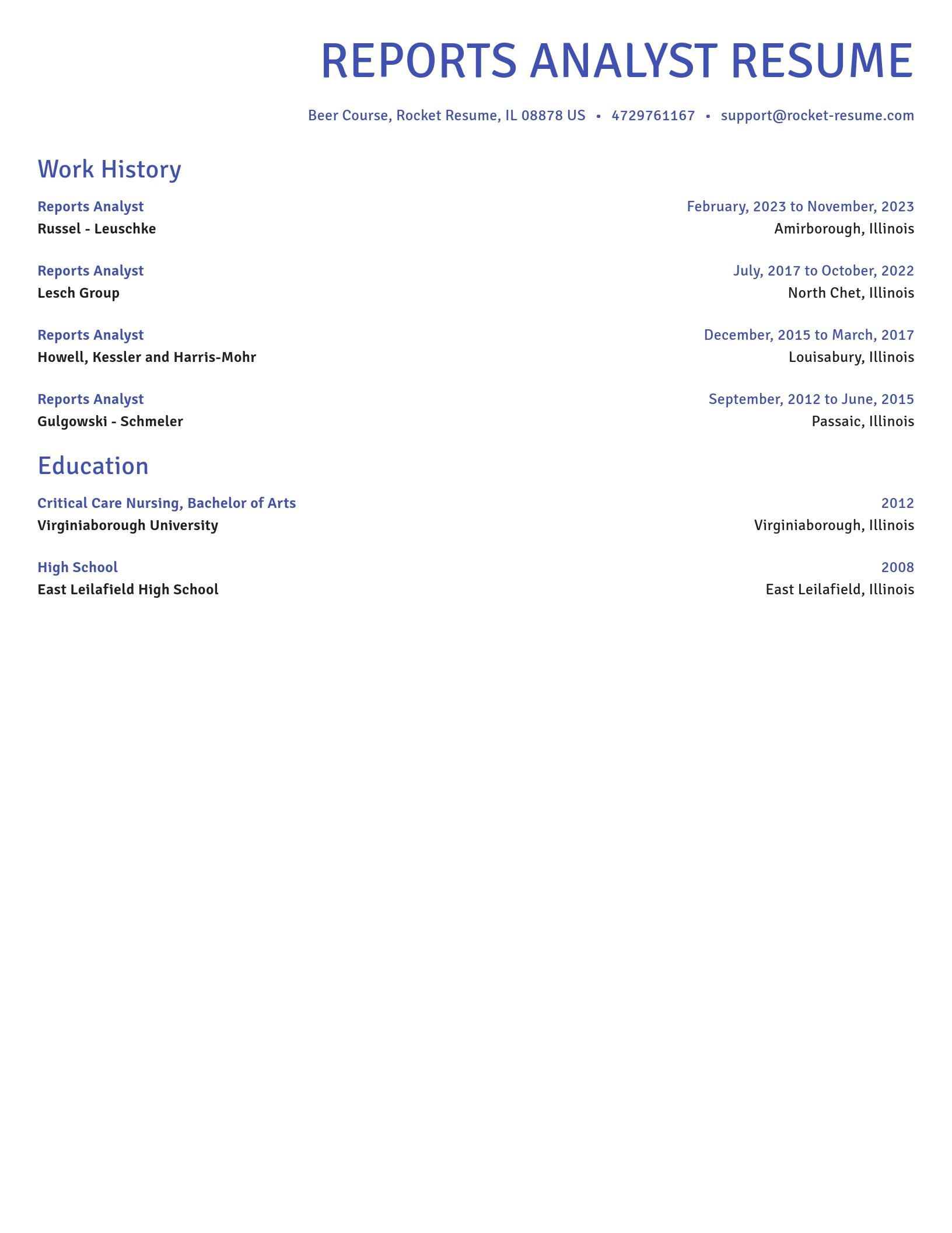 Novel resume template