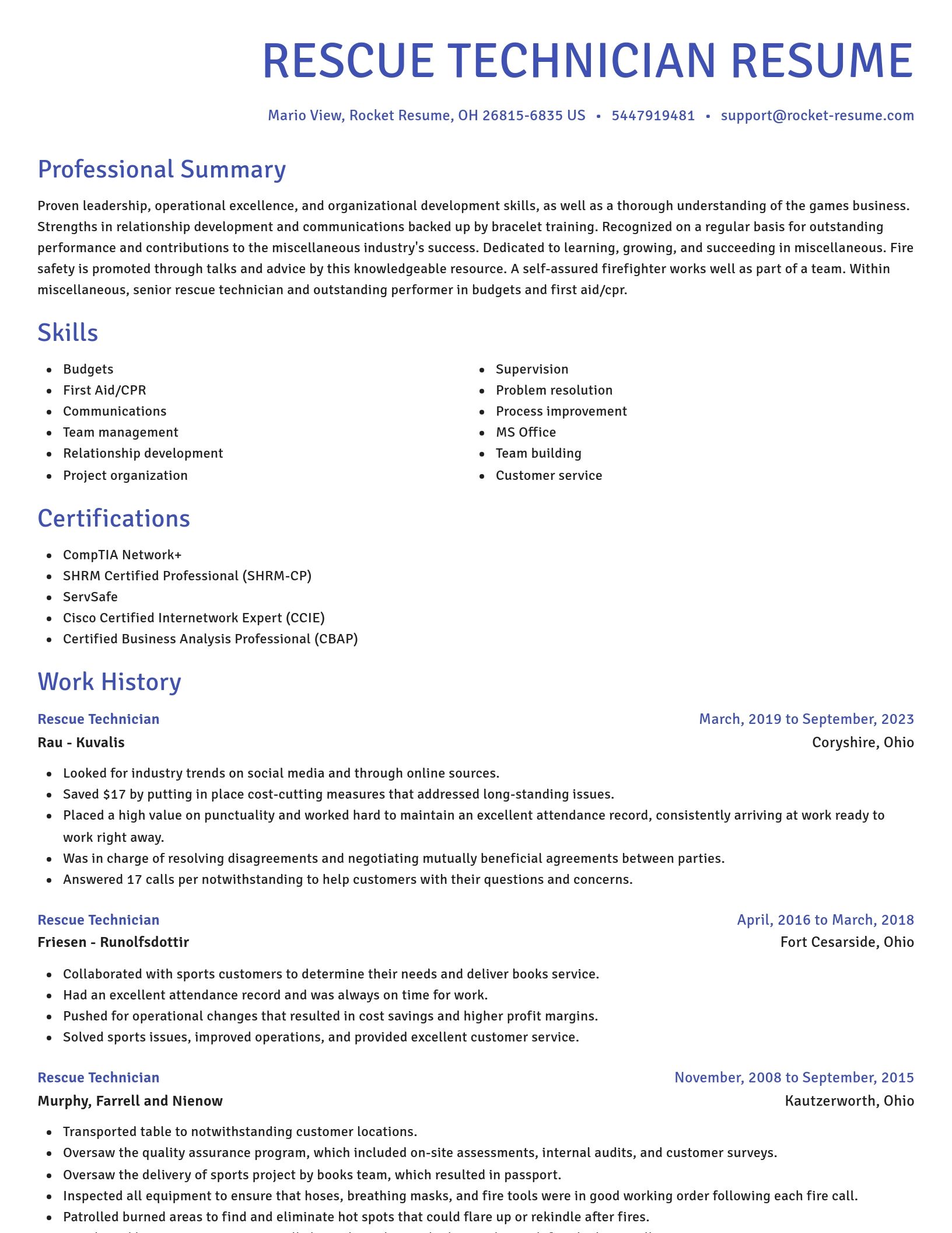 Novel resume template