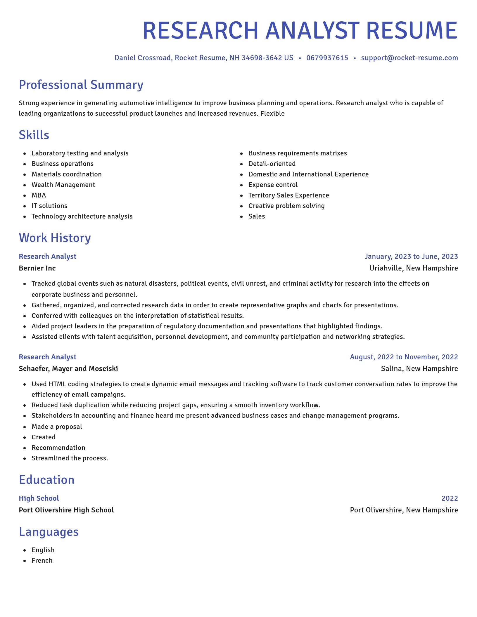 Novel resume template