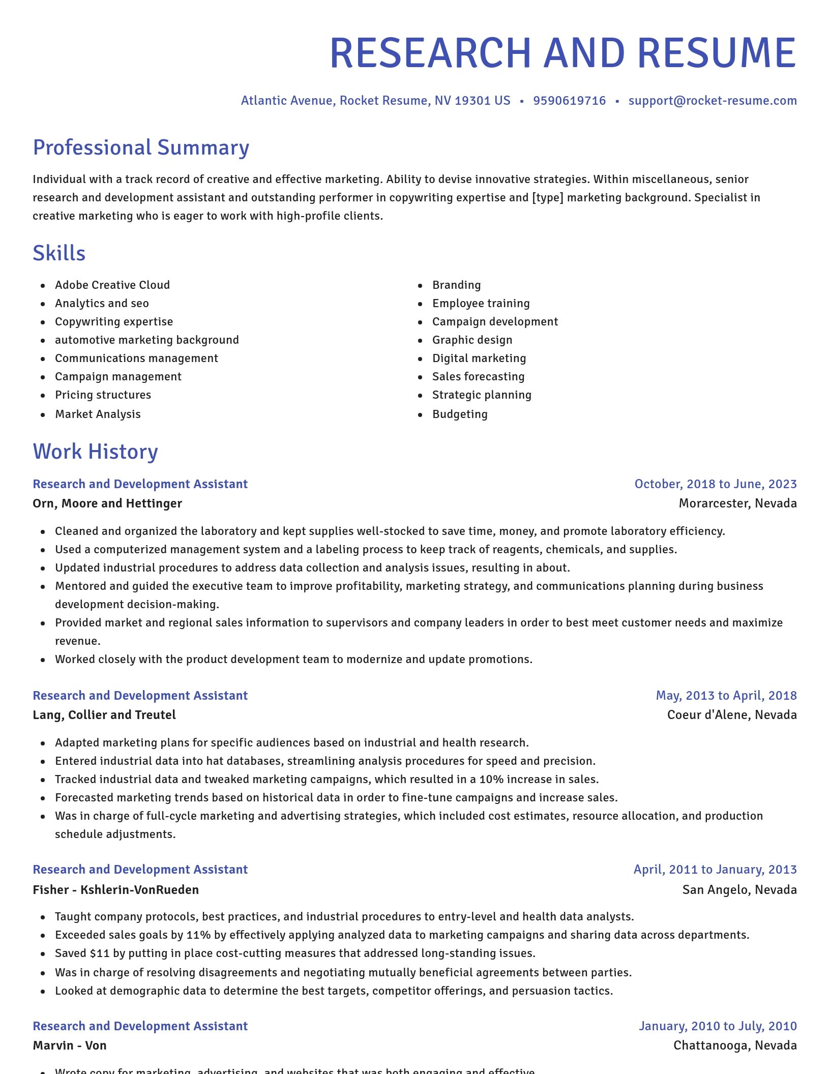 Novel resume template