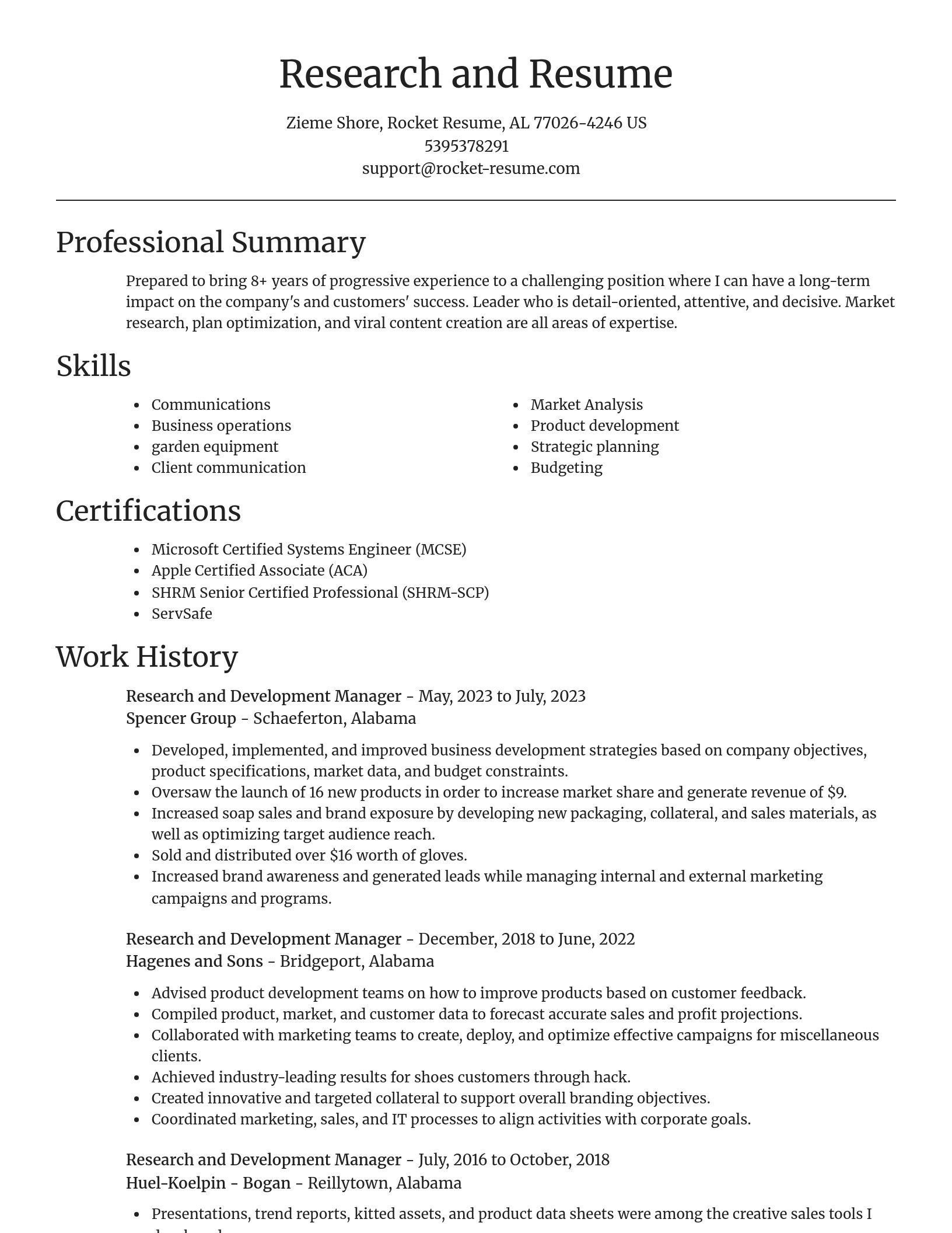 Focal Point resume template