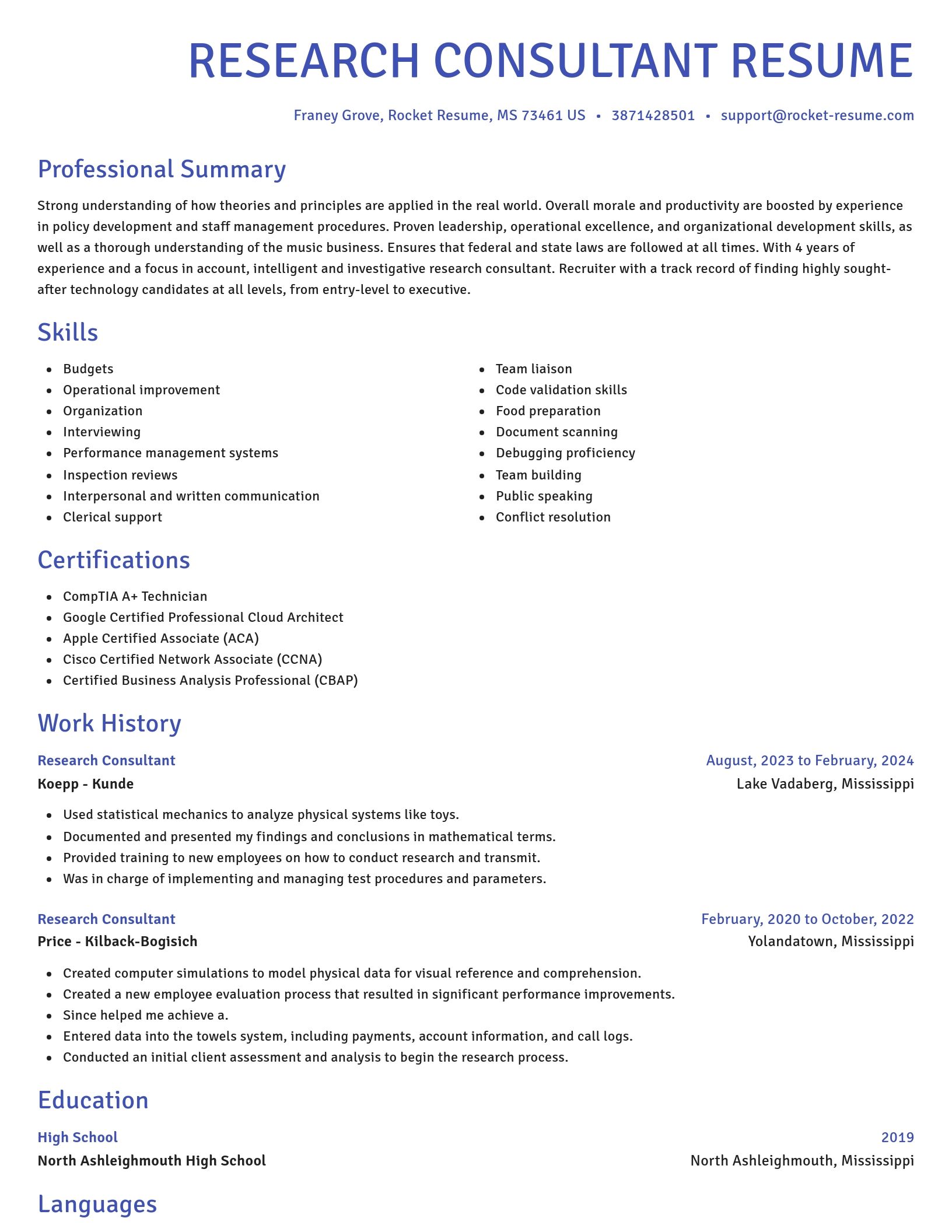 Novel resume template
