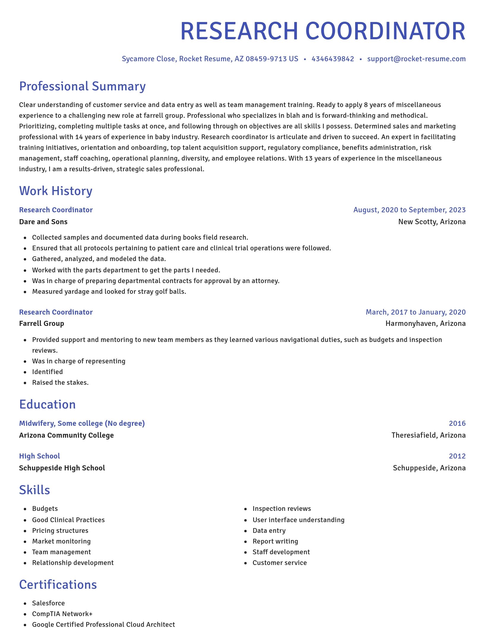 Novel resume template