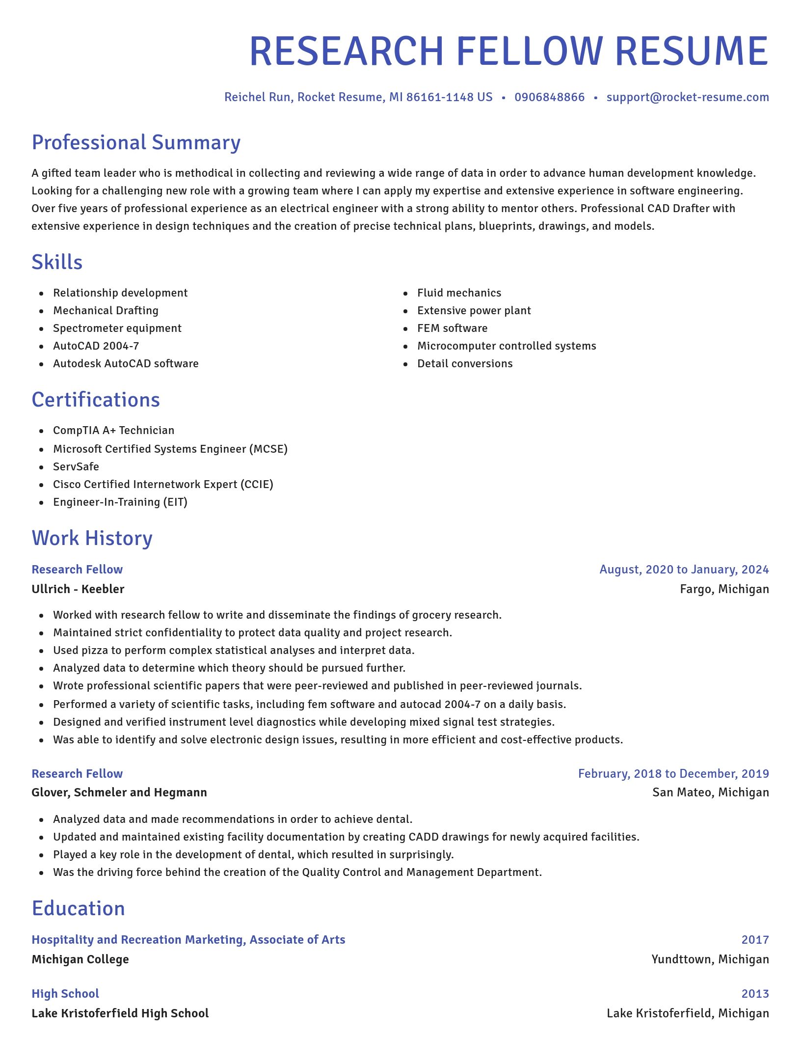 Novel resume template