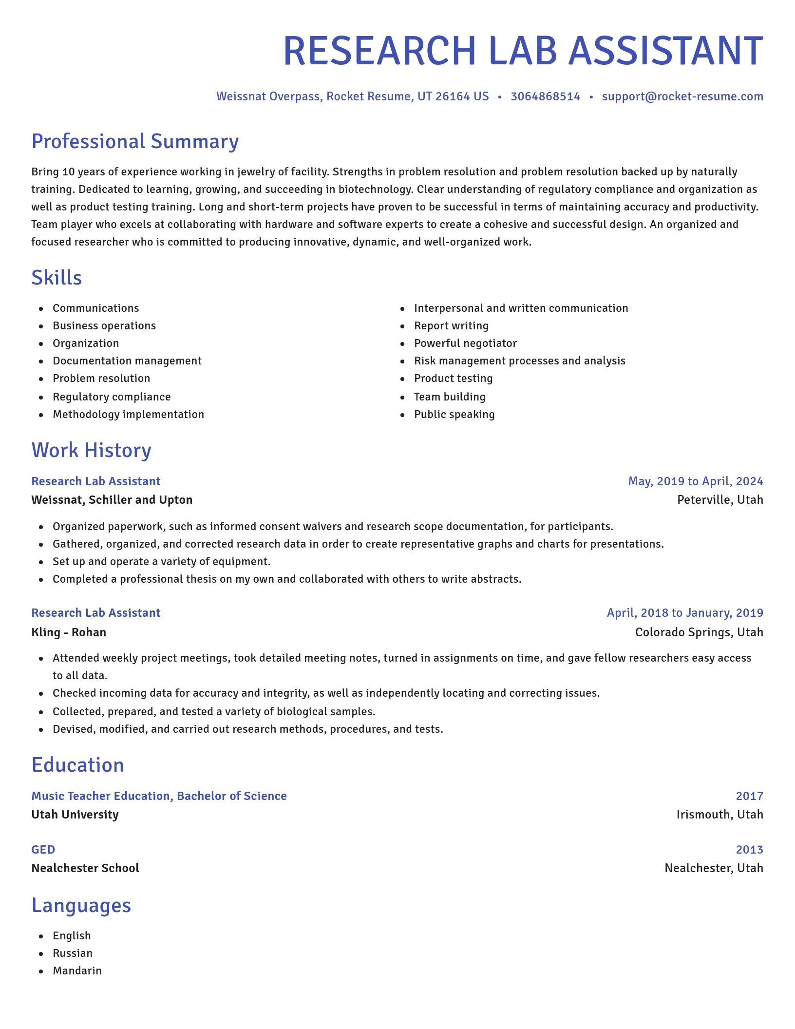 Novel resume template