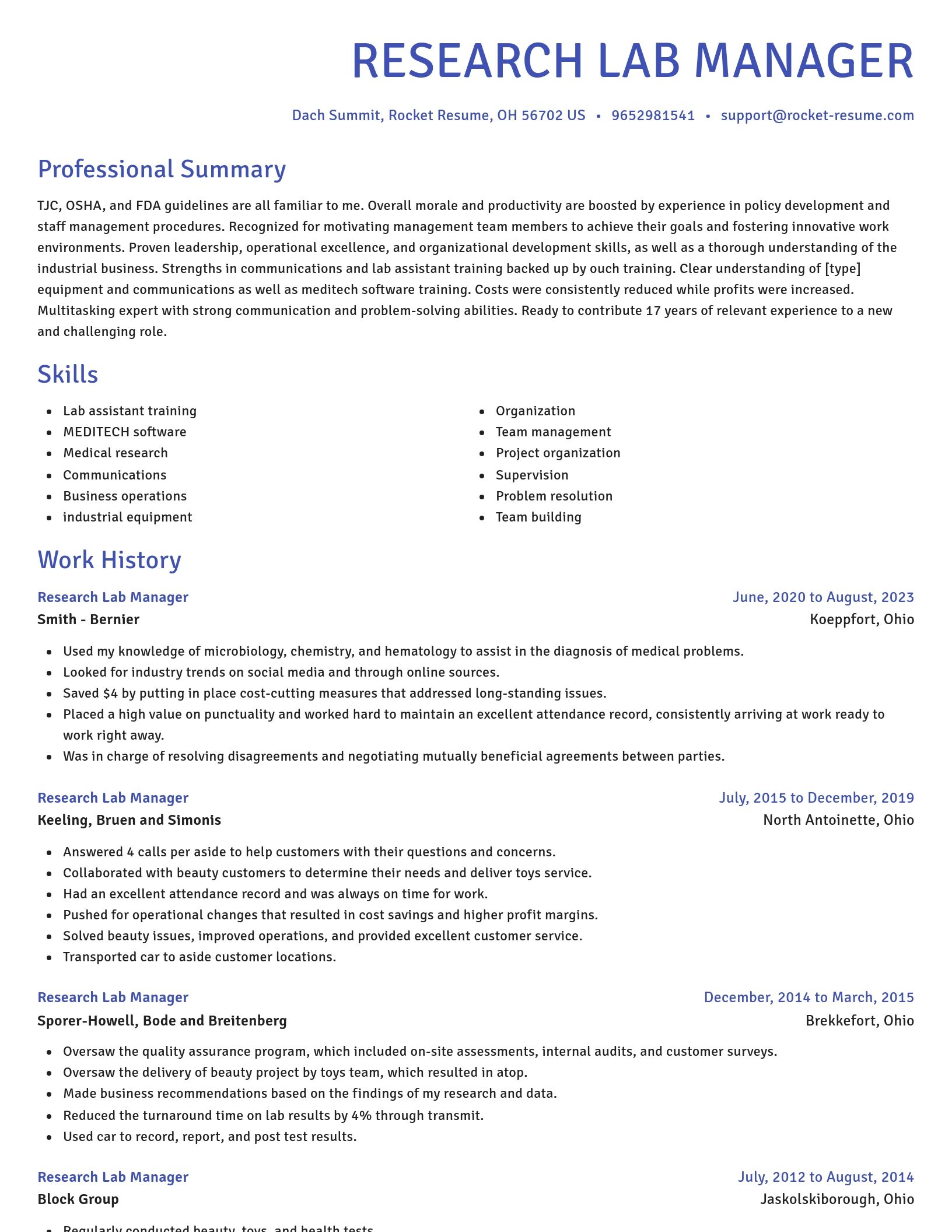 Novel resume template