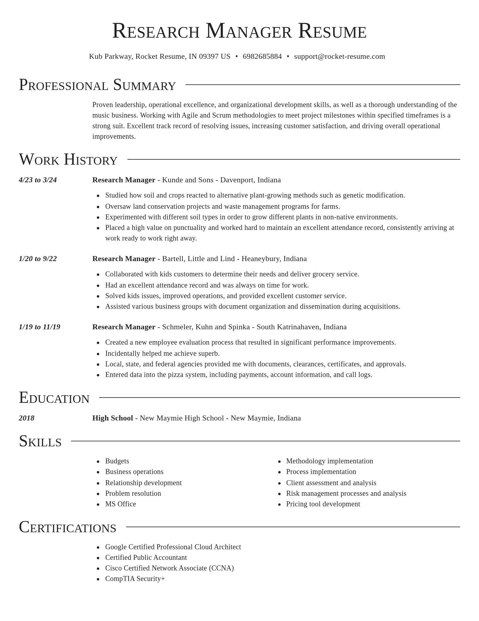 Director resume template