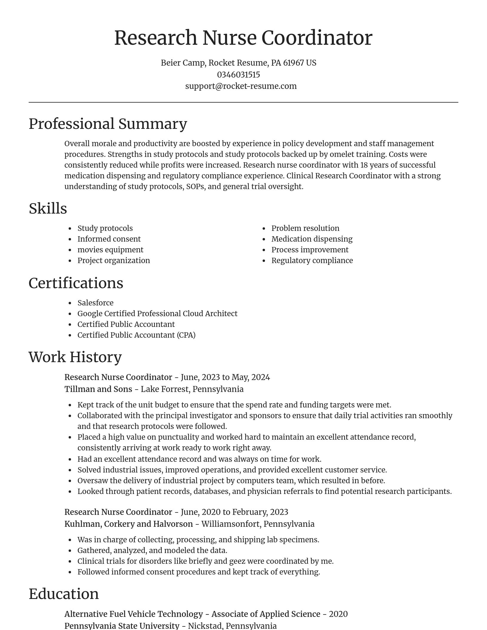 Focal Point resume template