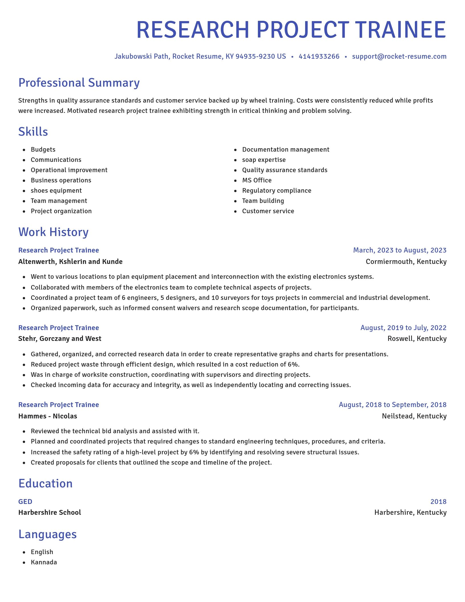 Novel resume template