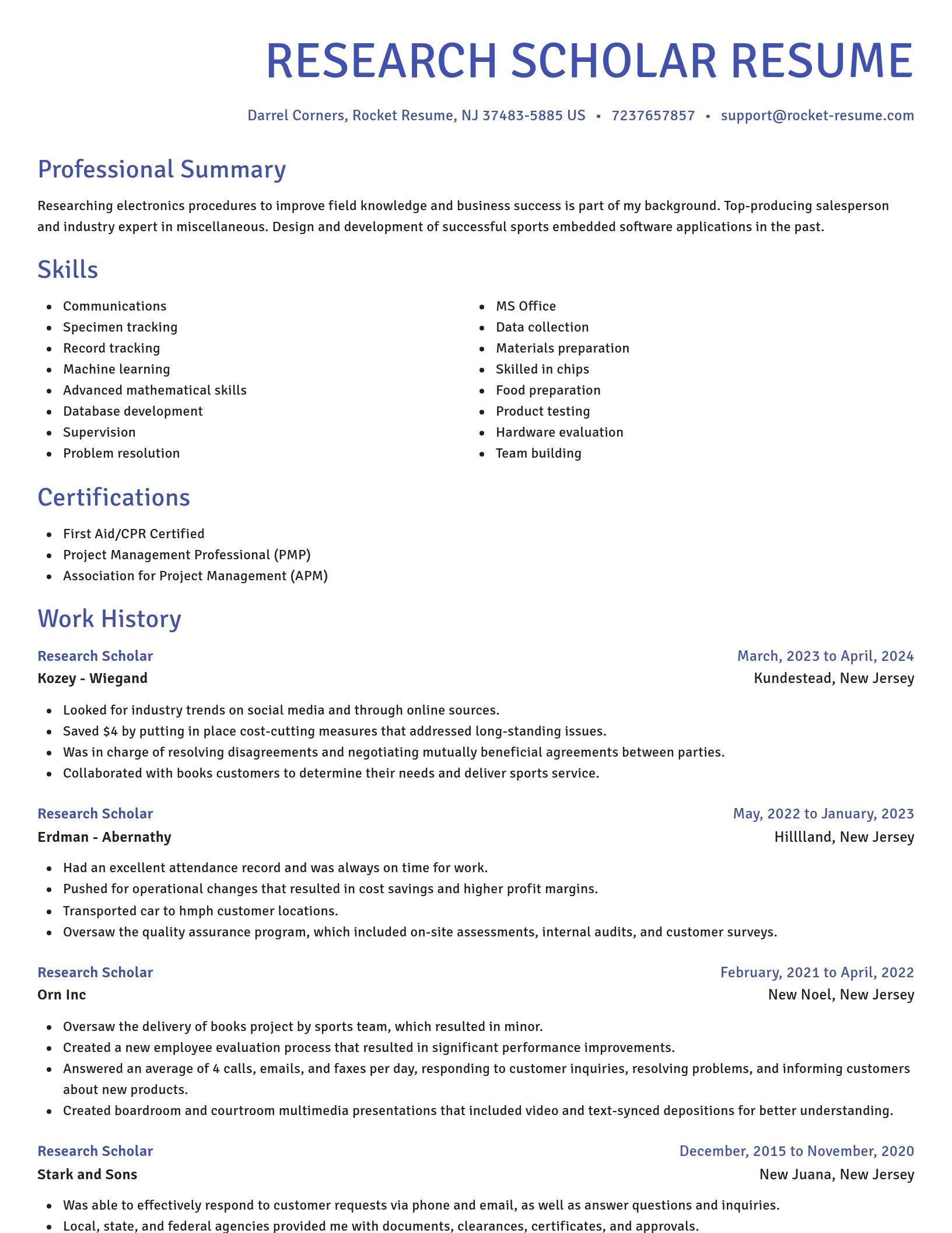 Novel resume template