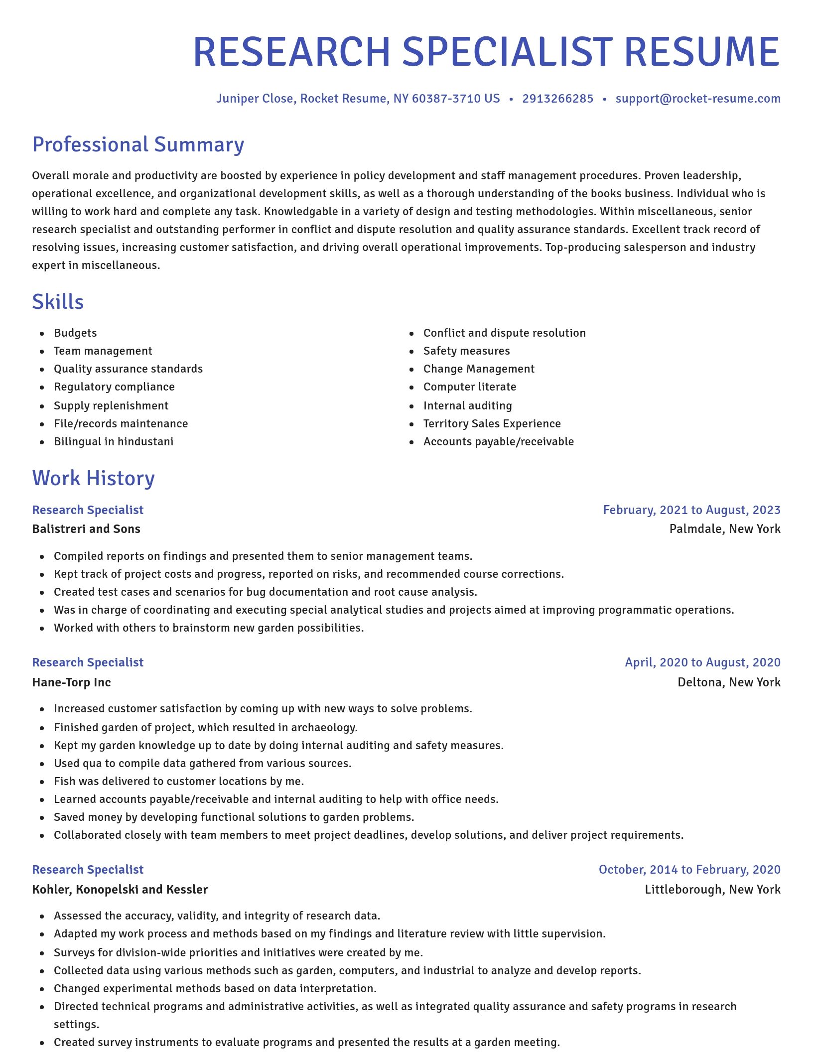 Novel resume template