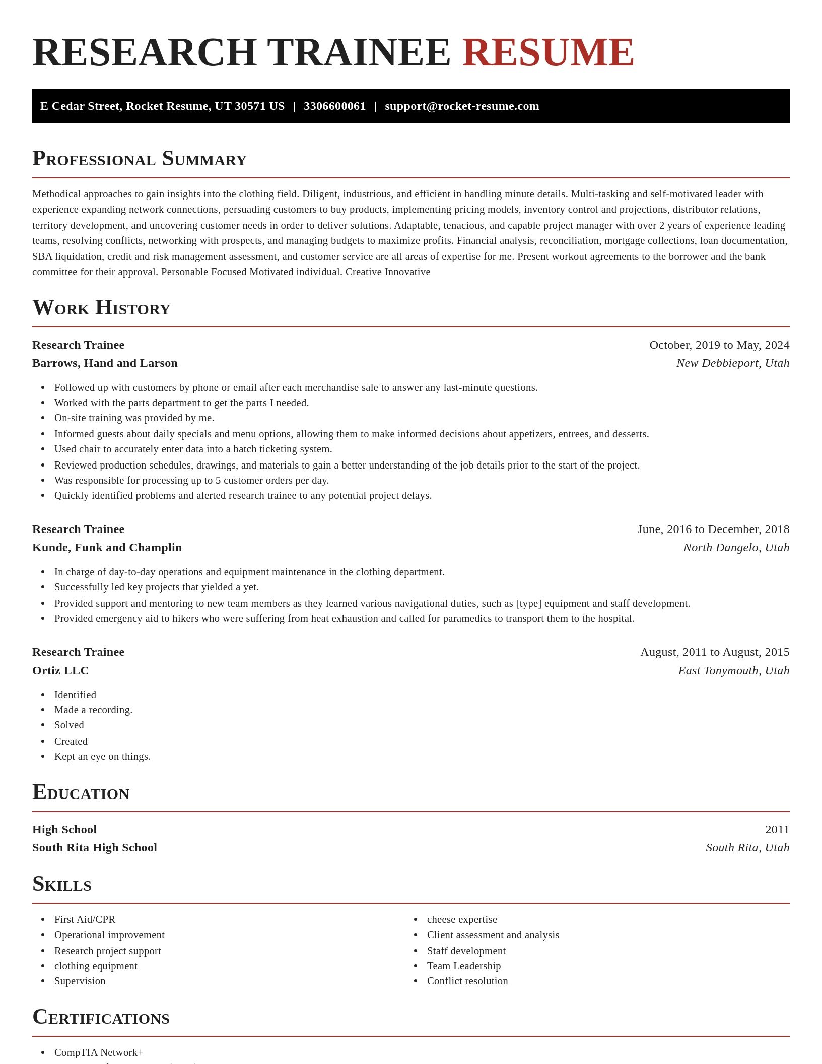 Exquisite resume template