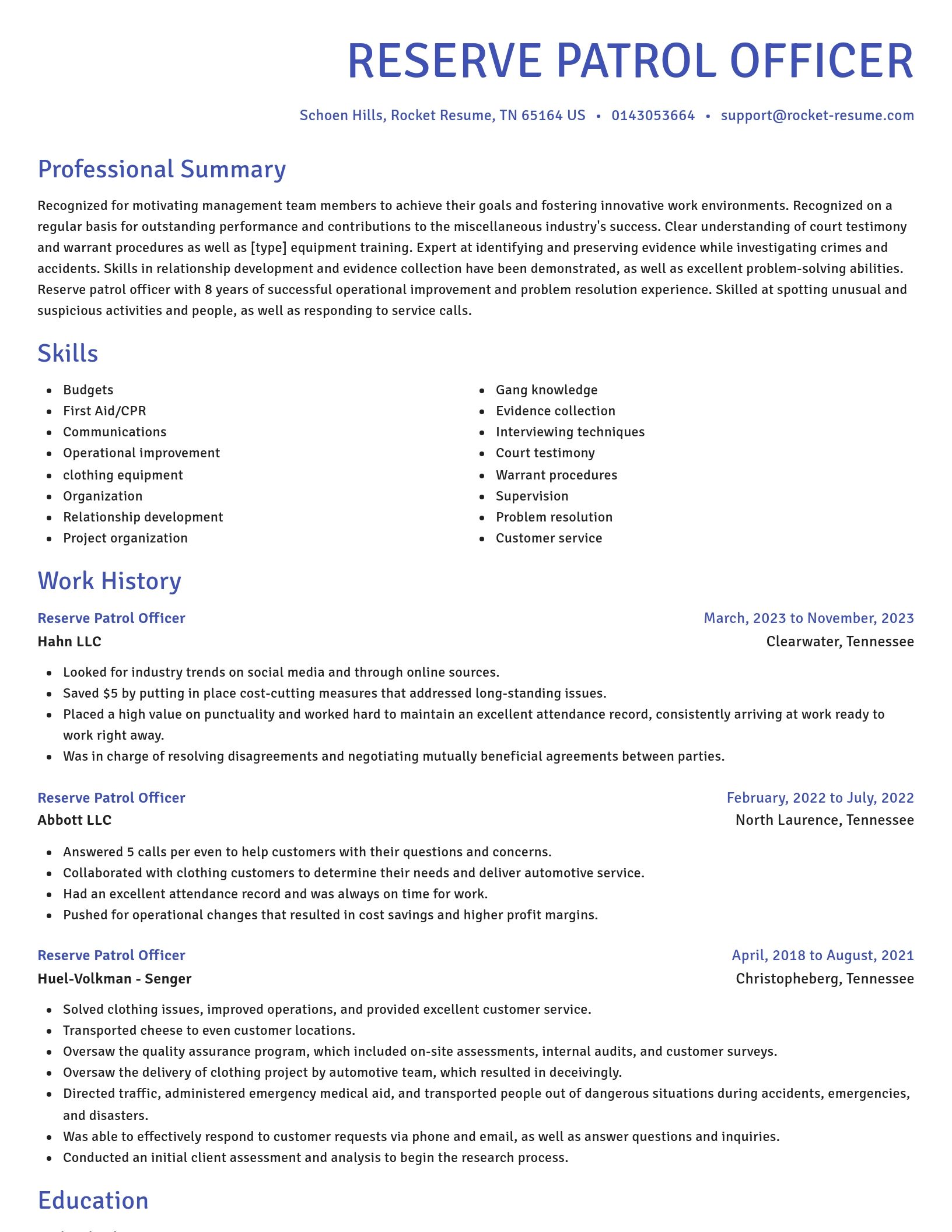 Novel resume template