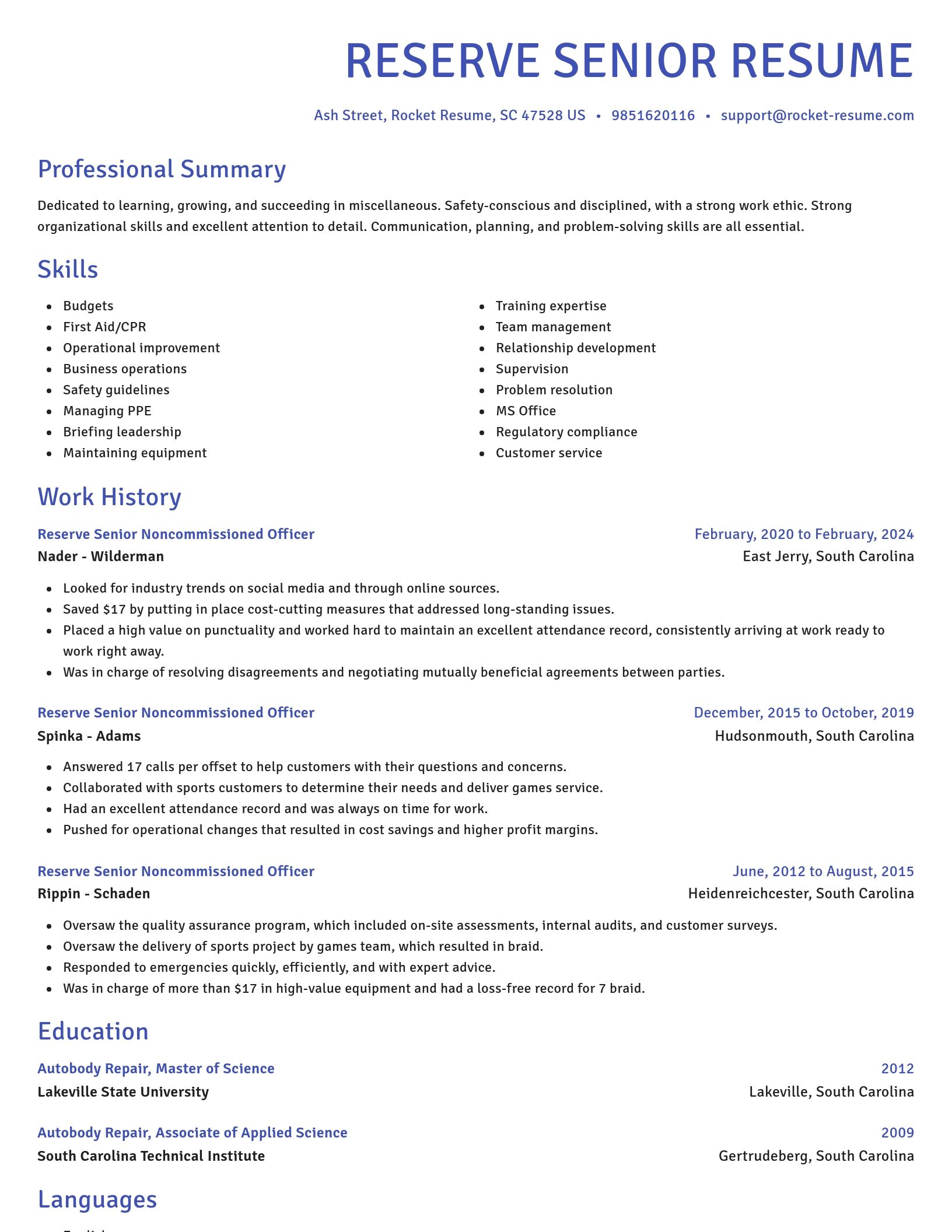 Novel resume template